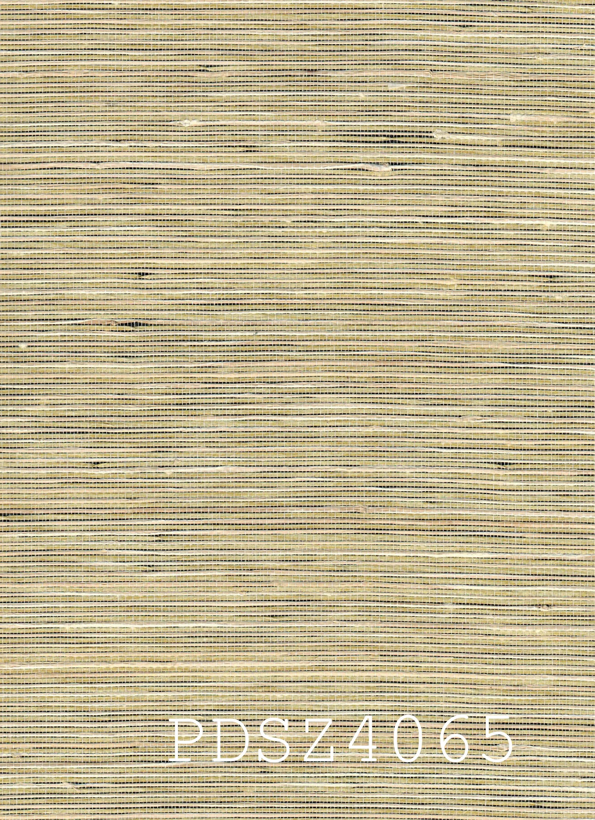 PDSZ4065