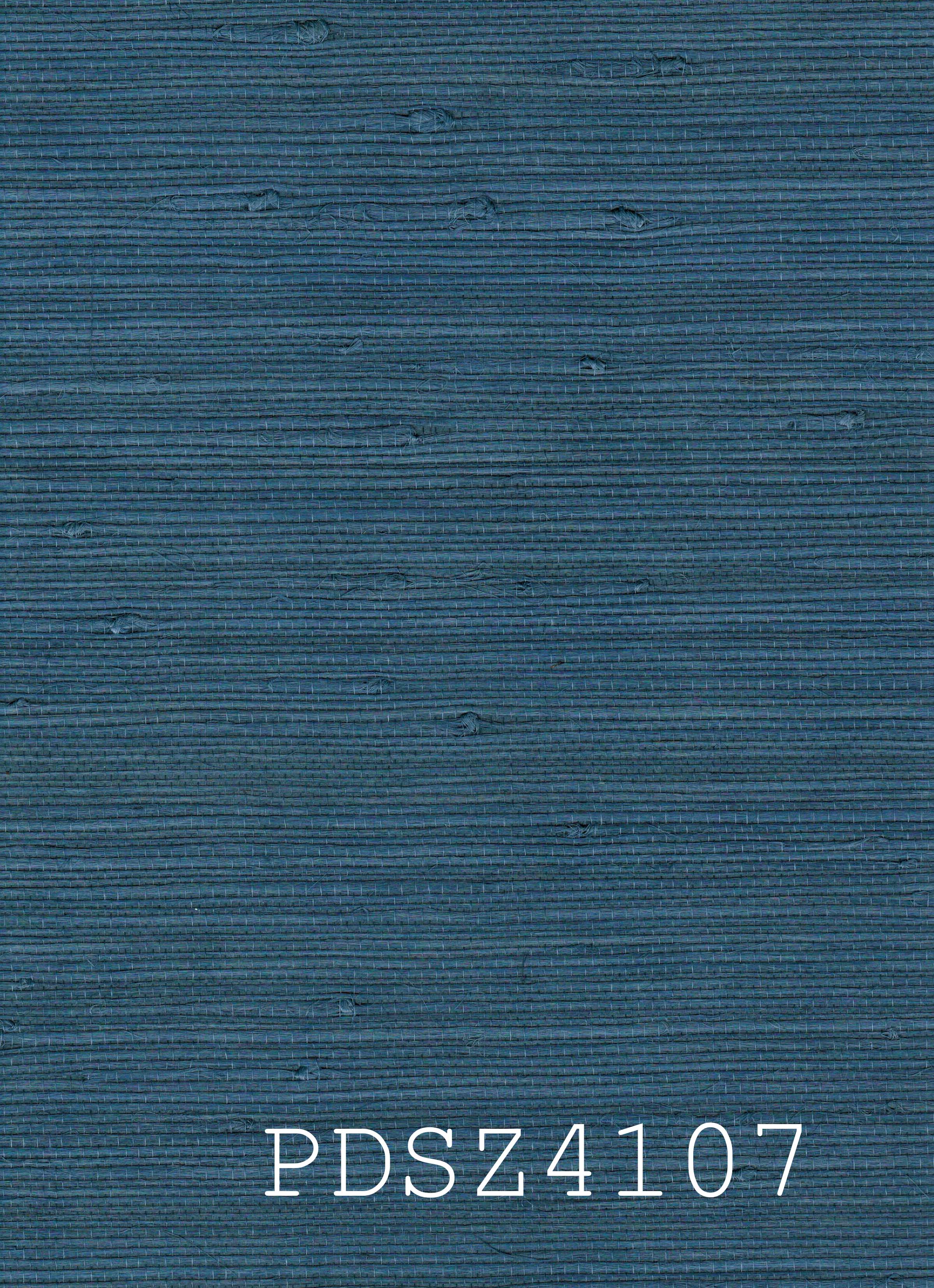 PDSZ4107