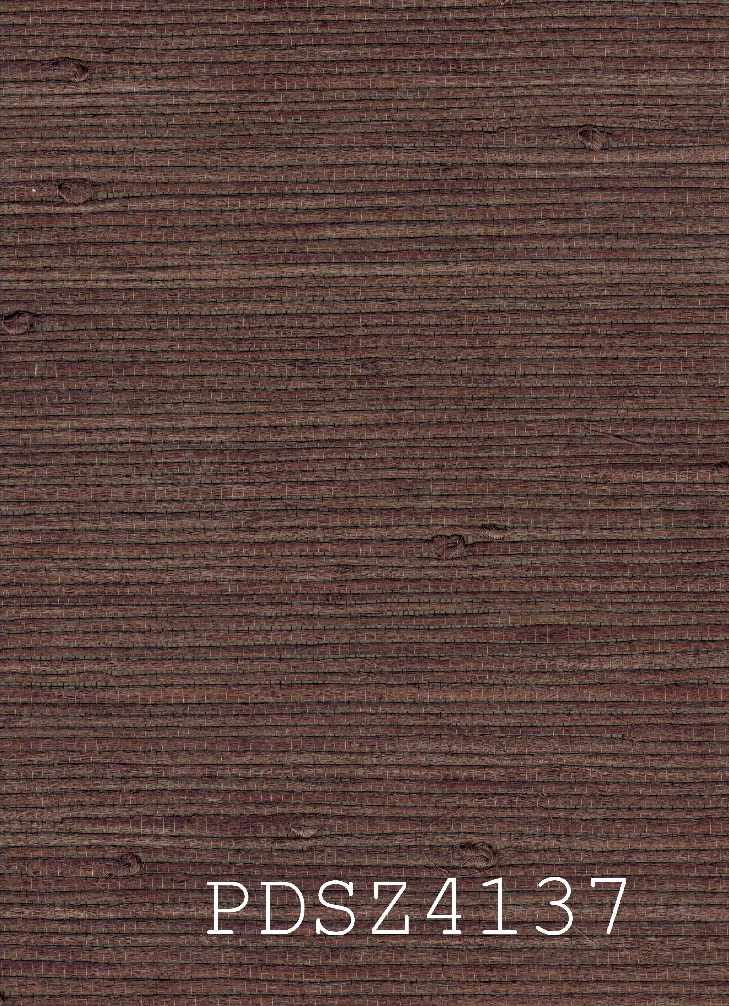 PDSZ4137