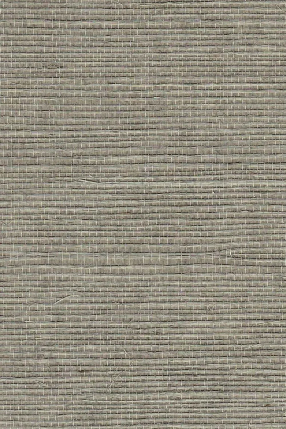 PDSH232