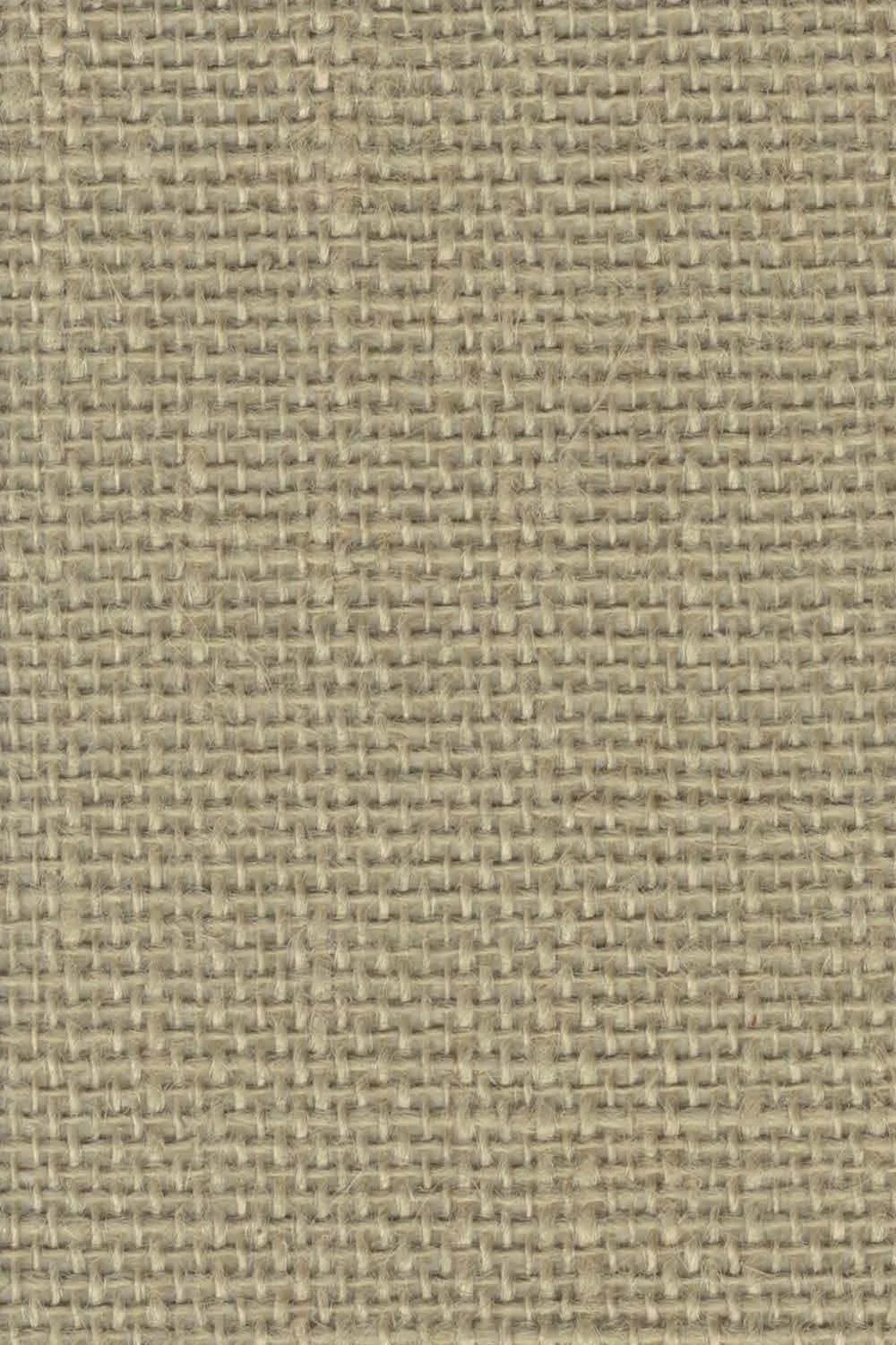 PDSH243
