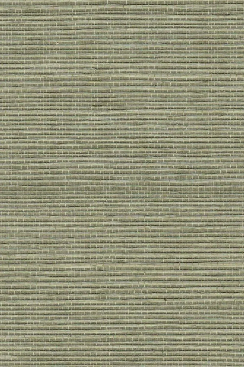 PDSH255