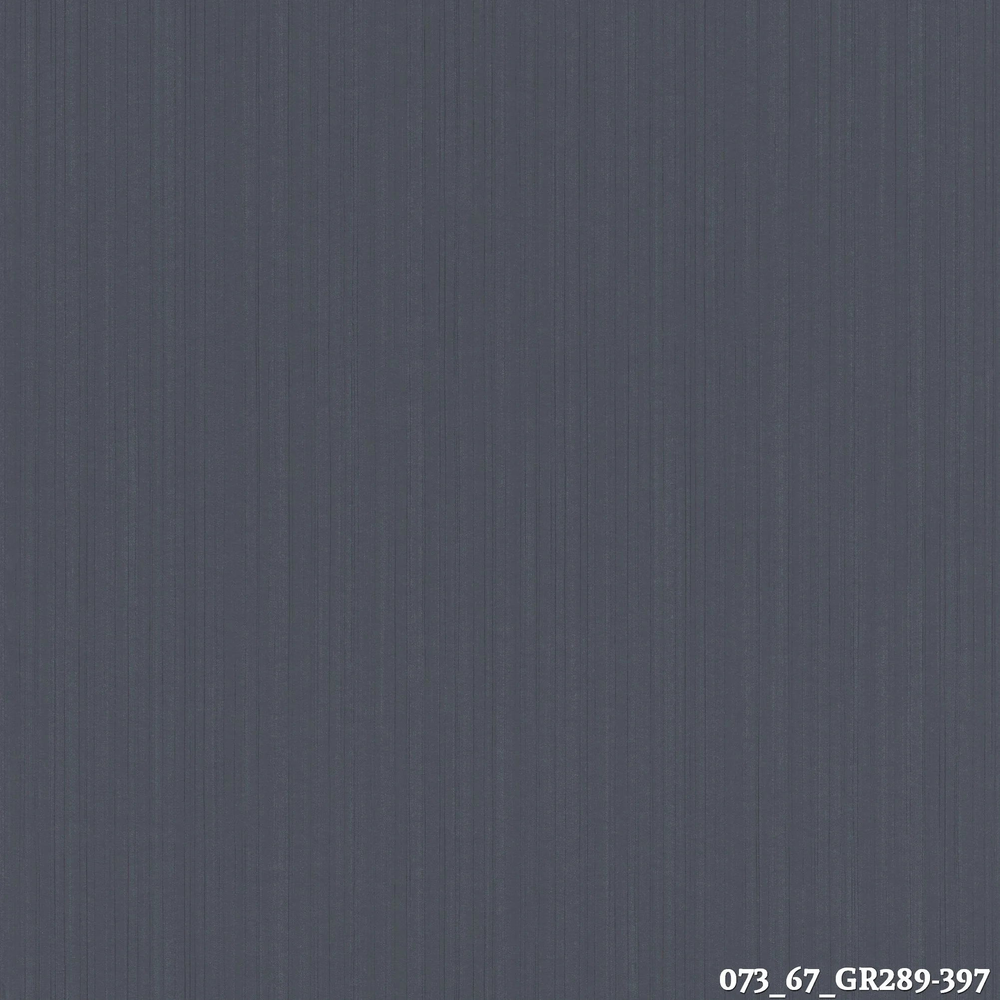 GR289-397
