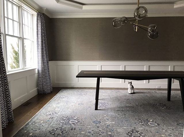 Dining room progress is kitty approved!
Design and 📸 @dagdesignboston
Grasscloth @pacific_designs_intl
#notyourgrandmaswallpaper #pacificdesignswallpaper #pacificdesignsgrasscloth #grasscloth #grassclothwallpaper #lovewallpaper #wallpaperlove #wallpaperisthenewblack #luxurywallpaper #designerwallpaper #wallpaperinspo #wallpaperdesign #wallpapershabby #wallpaperdecor #interiordesign #diningroom #interior123 #interior_design #diningroomtable #diningroomdecor #diningroominspo #diningroomideas #smmakelifebeautiful #interior4all #bhghome #wallcoverings #wallpaperenvy #dagdesignboston #formaldiningroom #apartmenttherapy