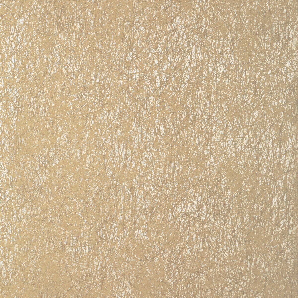 P22 DEL64-657.jpg