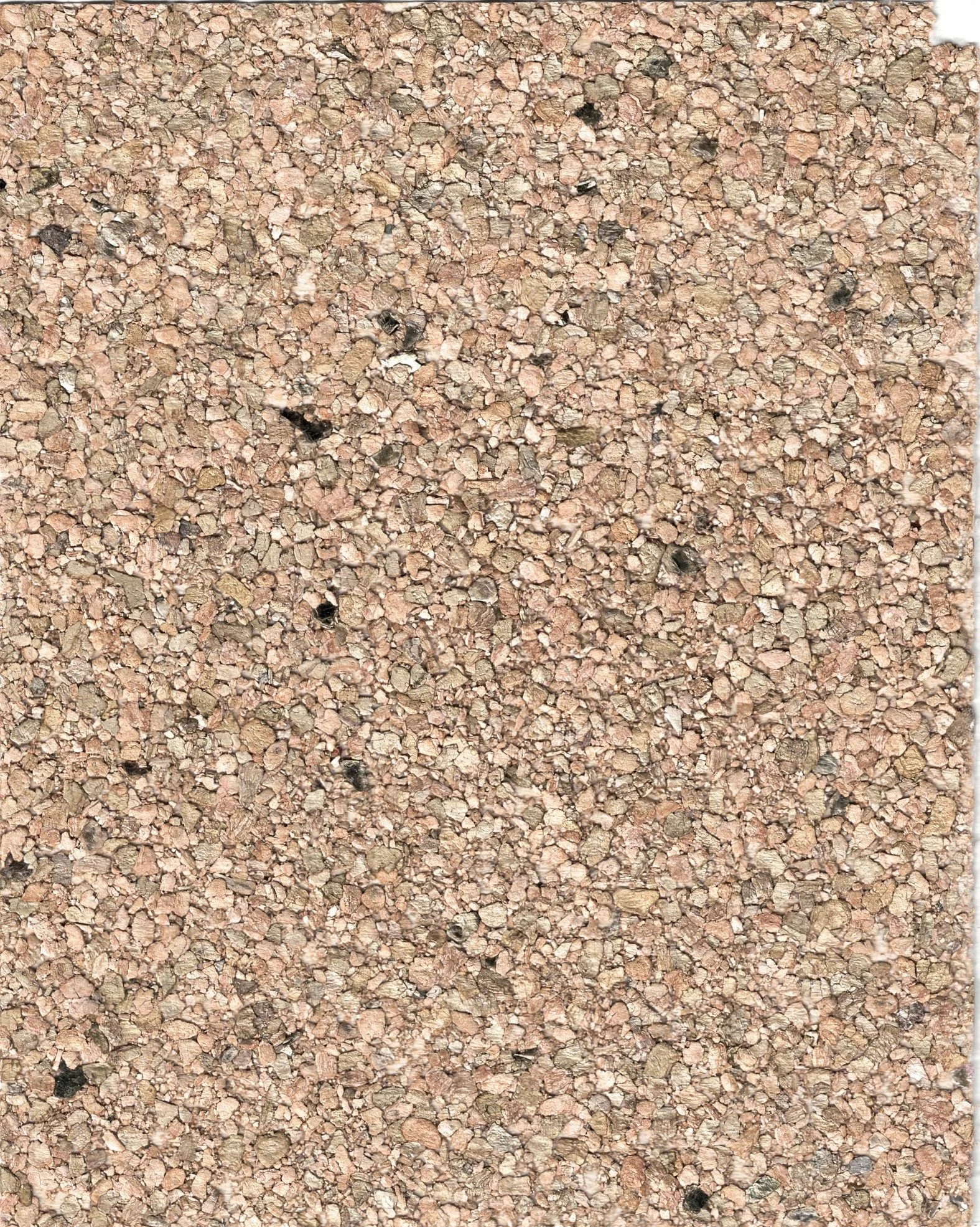 PDNJ6010