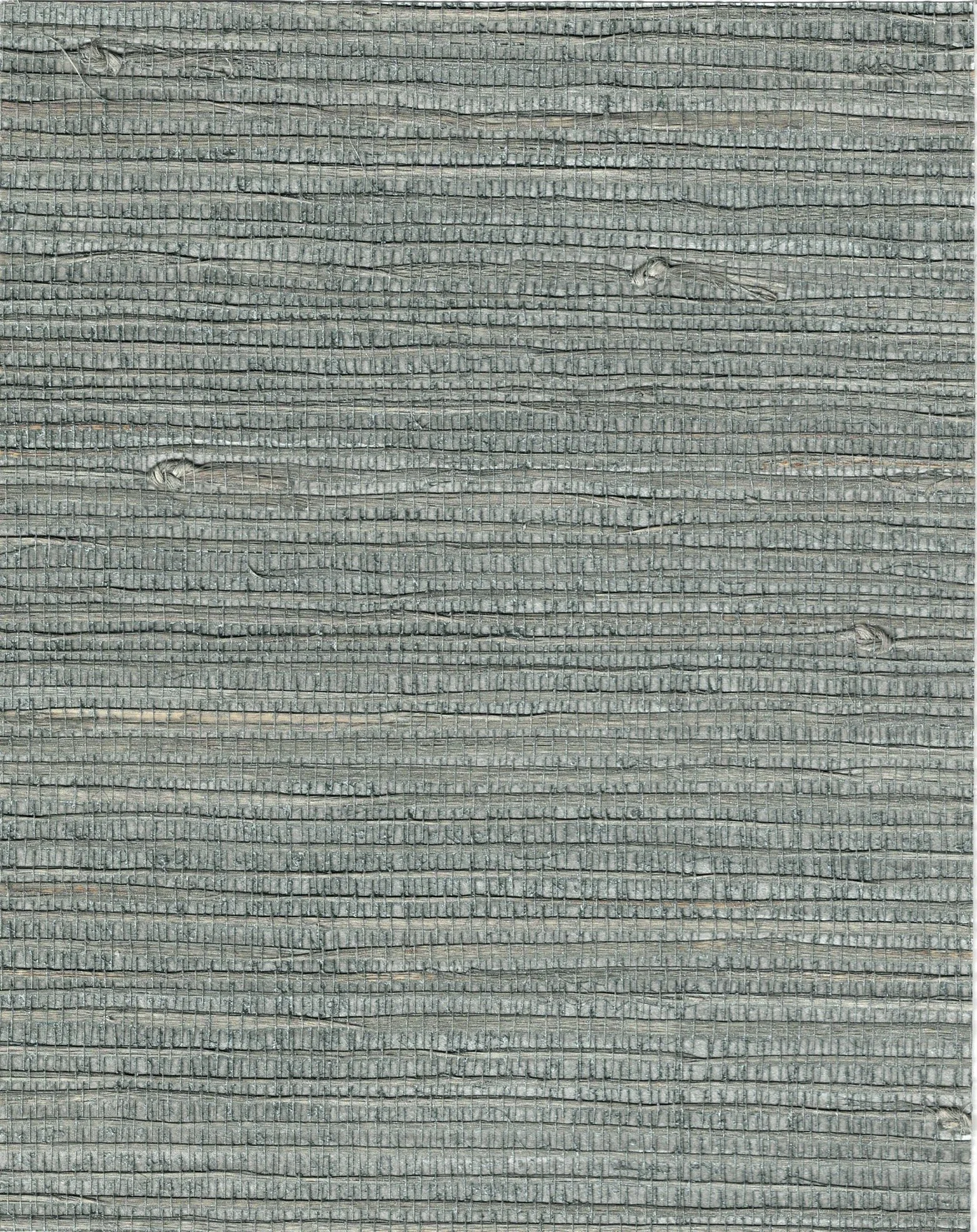 PDNJ6036
