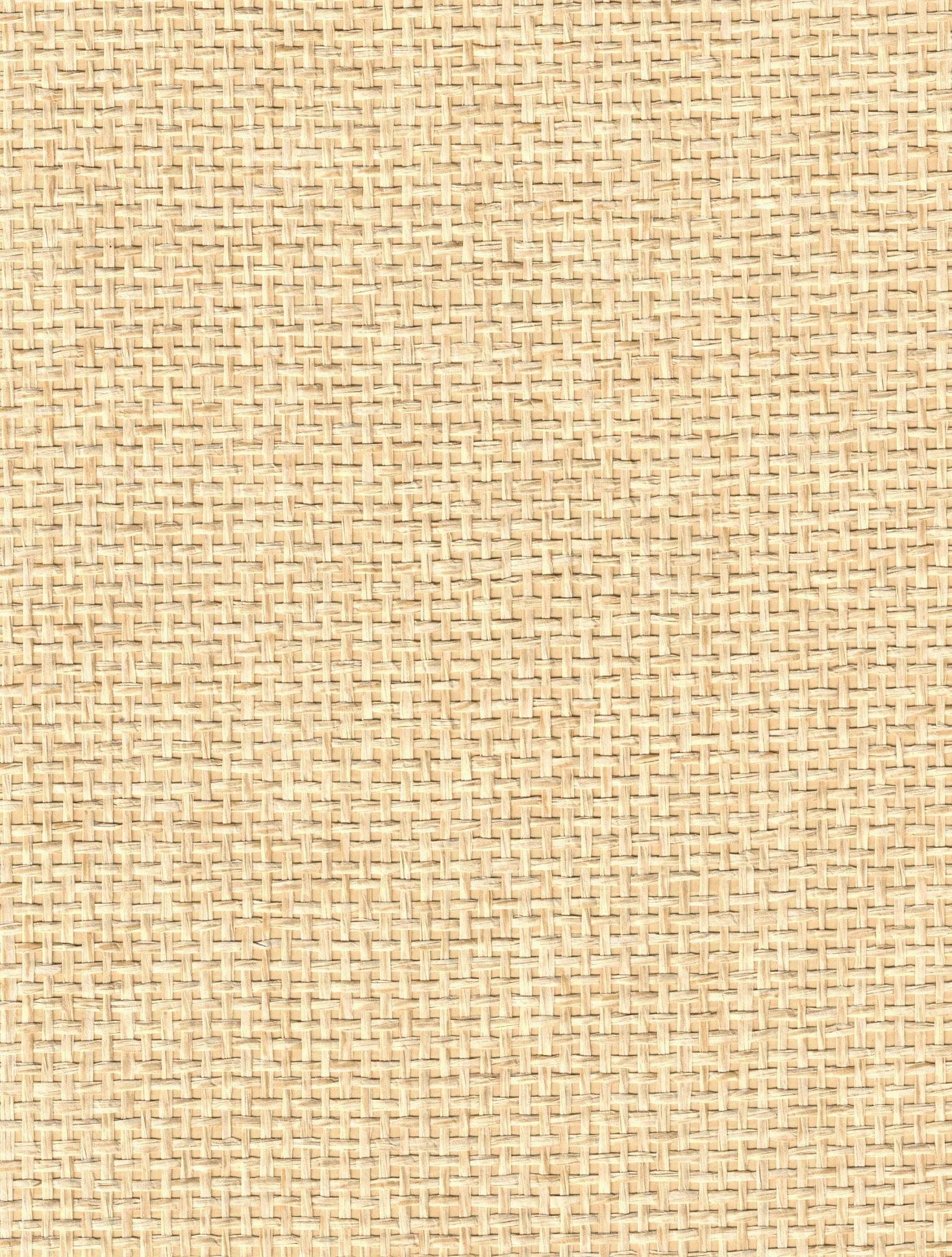 PDNJ6054