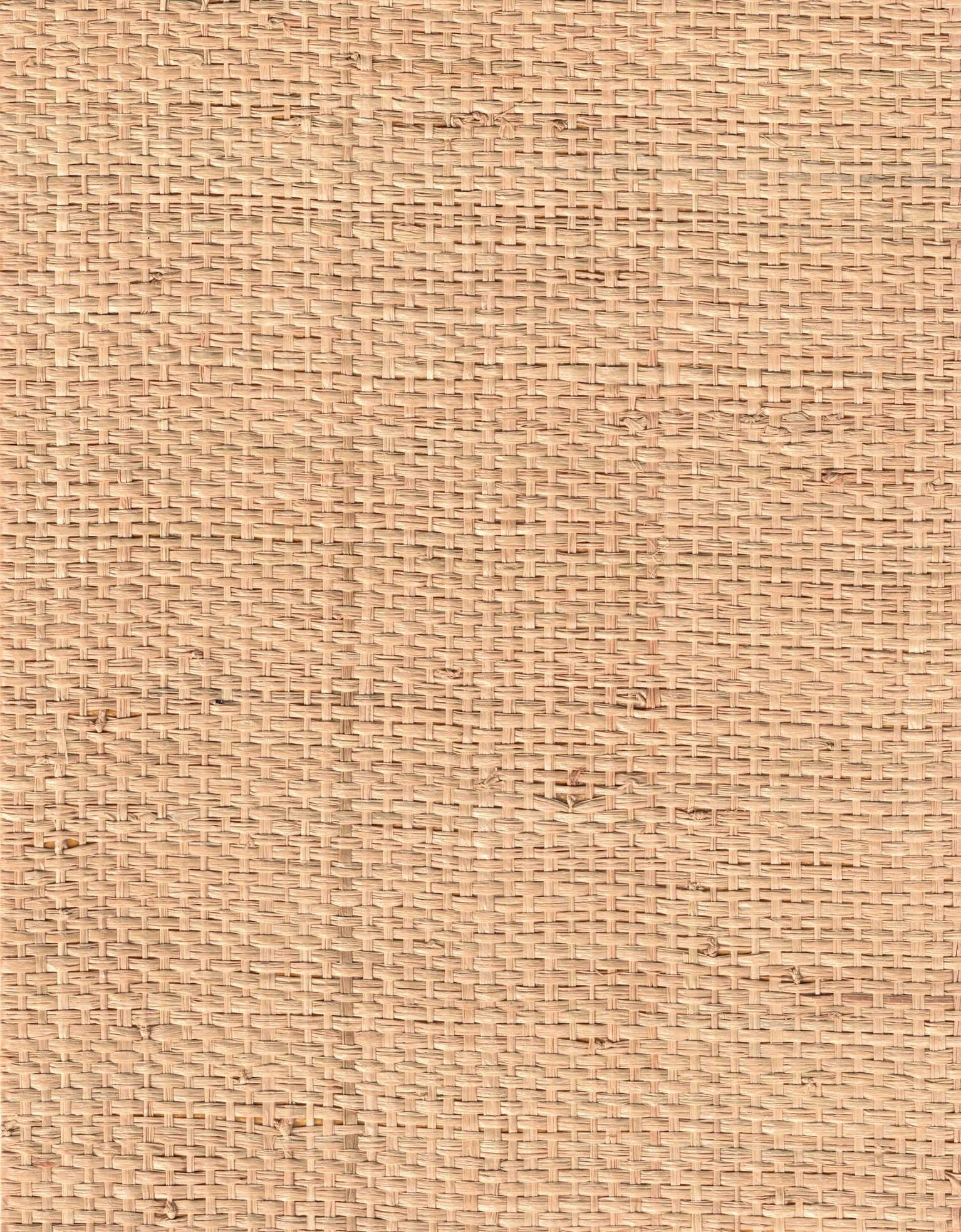 PDNJ6055