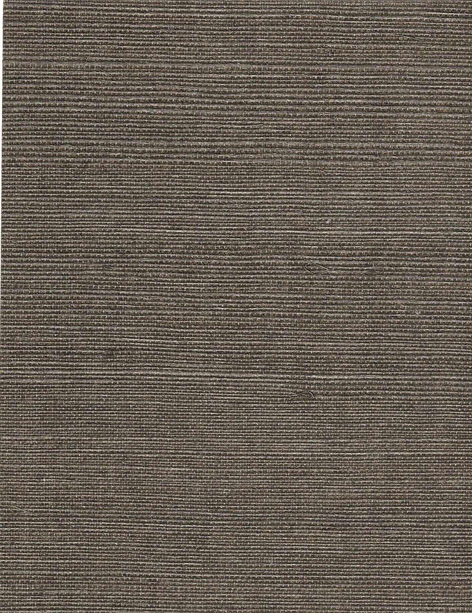 PDNJ6061