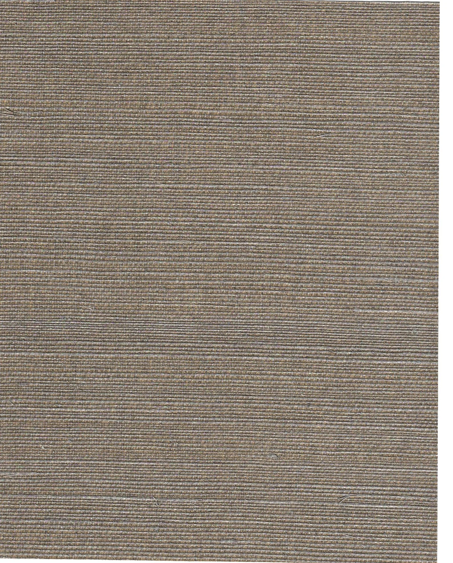 PDNJ6064