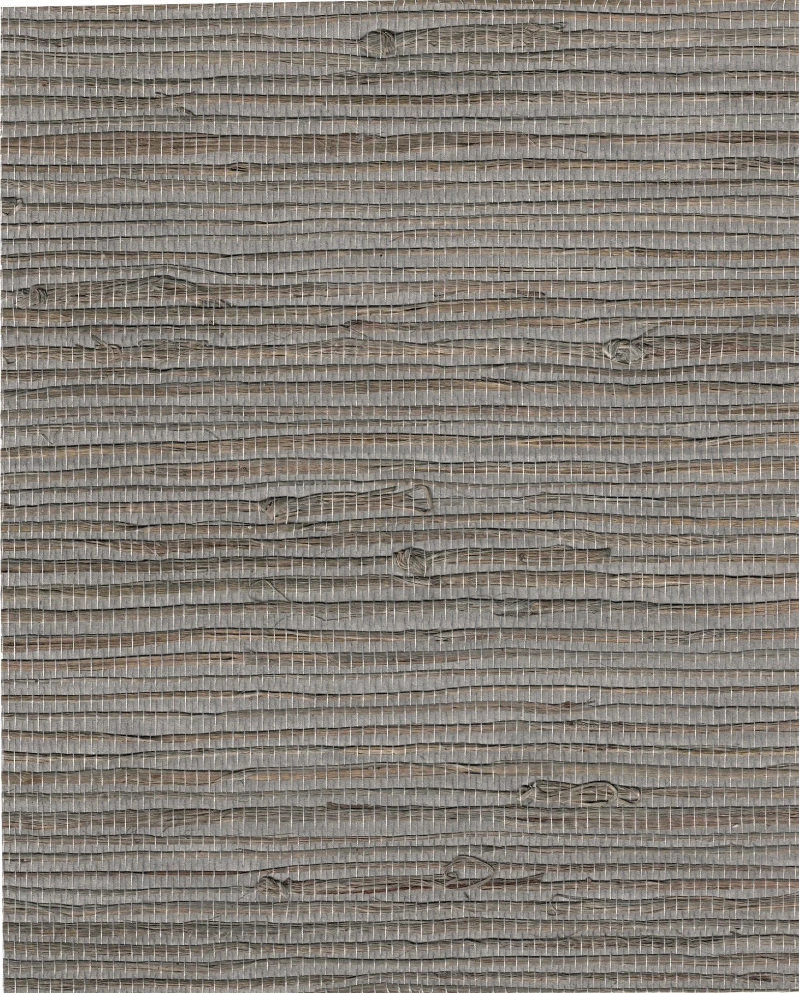 PDNJ6079