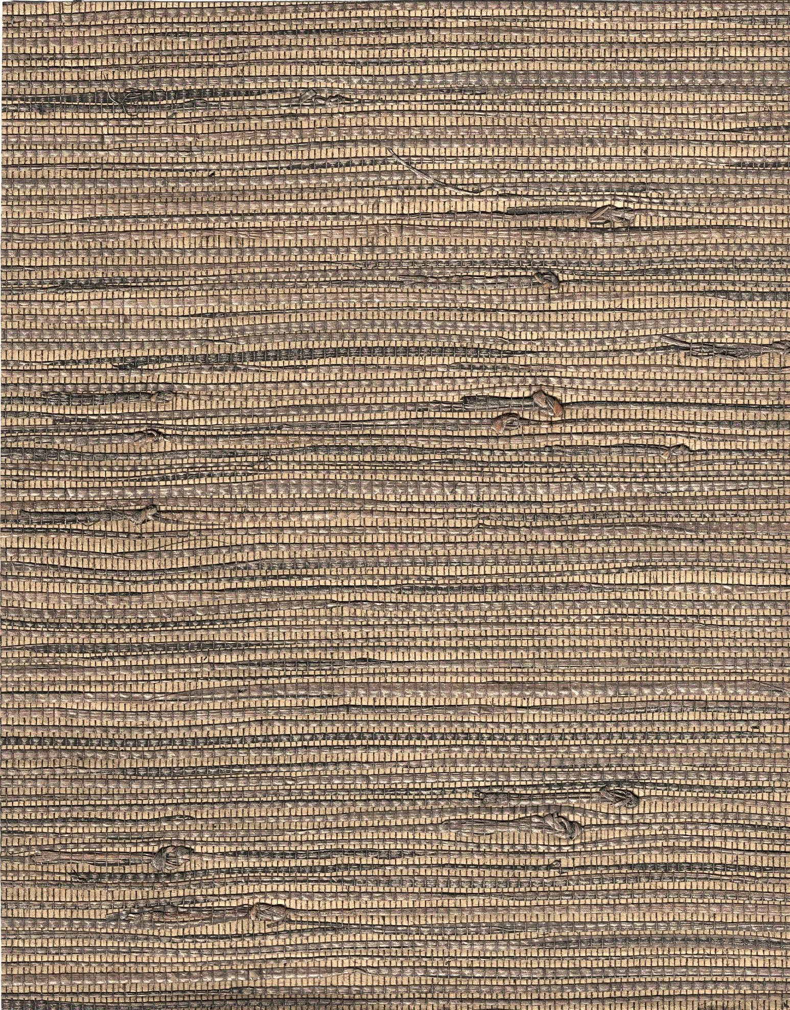 PDNJ6080