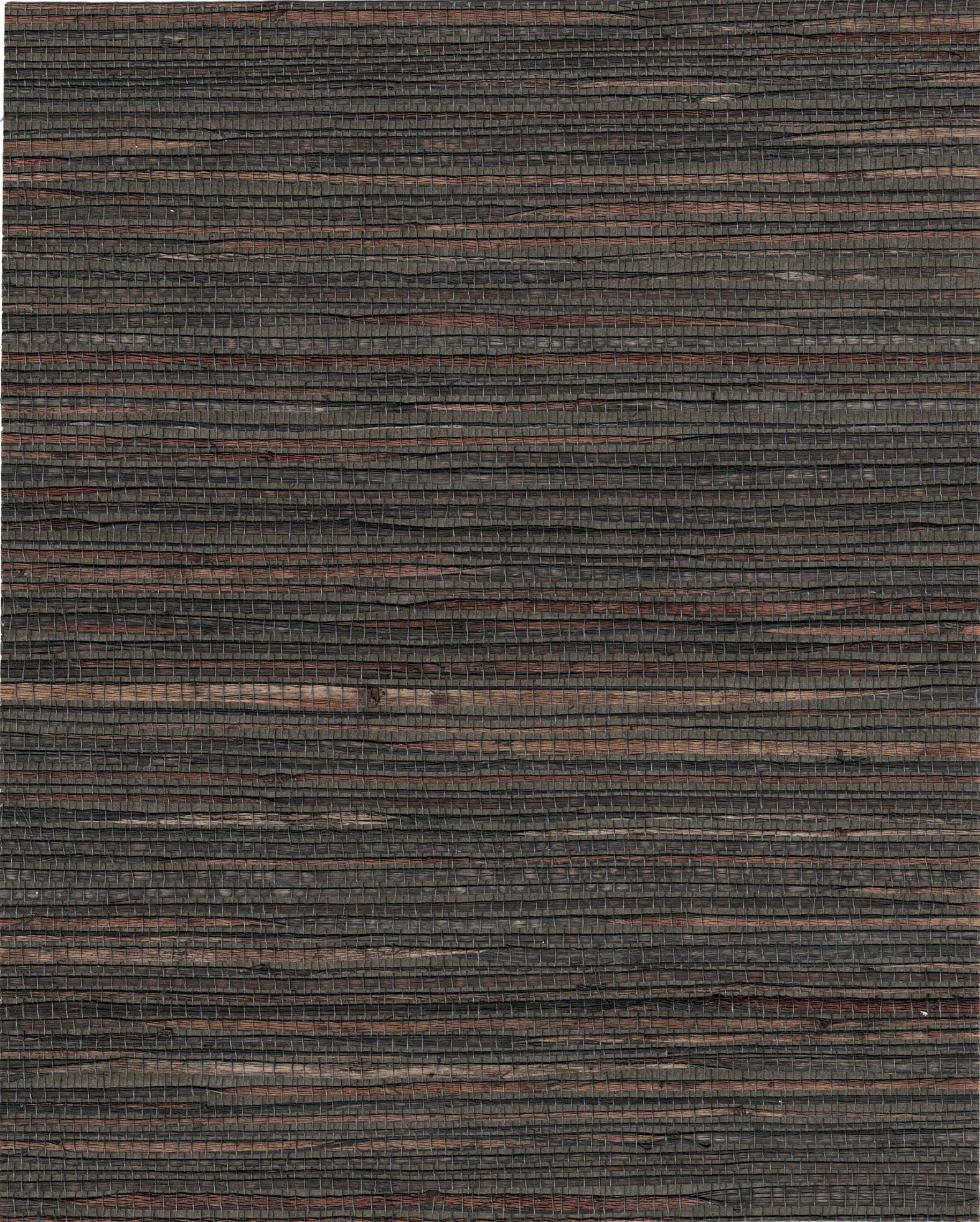 PDNJ6081