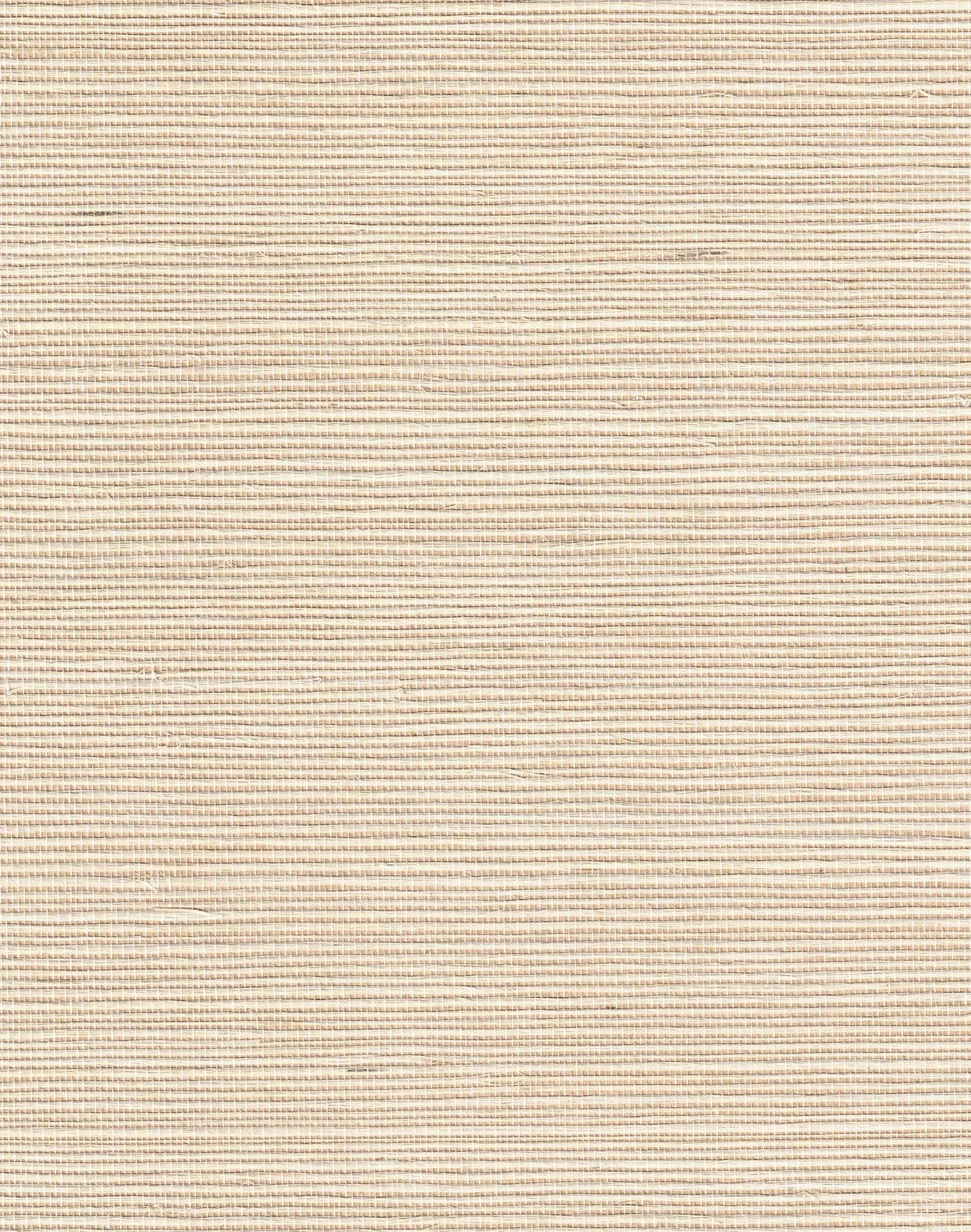 PDNJ6102