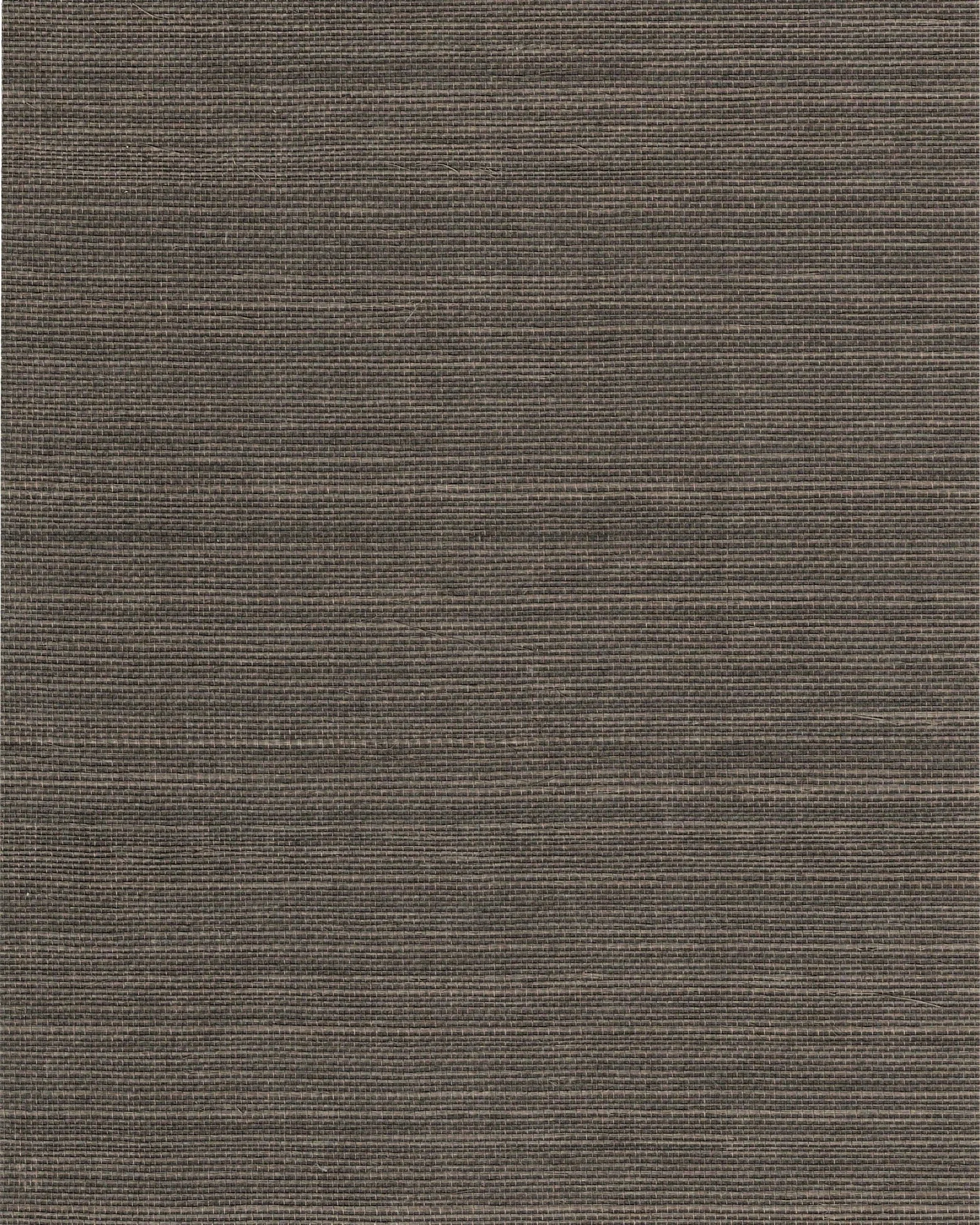 PDNJ6104
