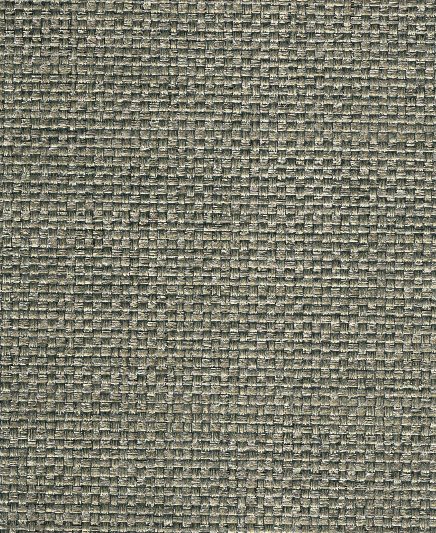 PDNJ6110