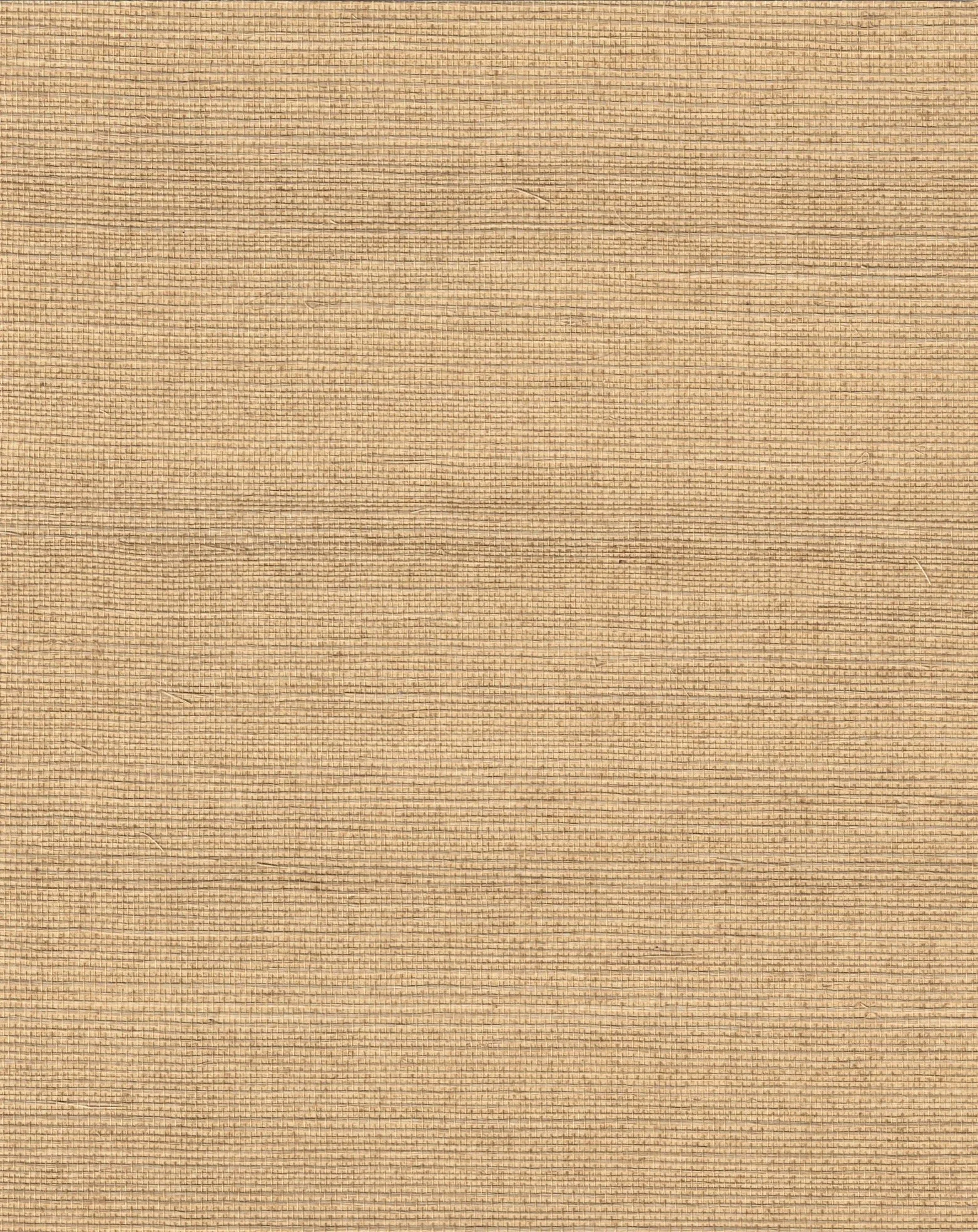 PDNJ6115