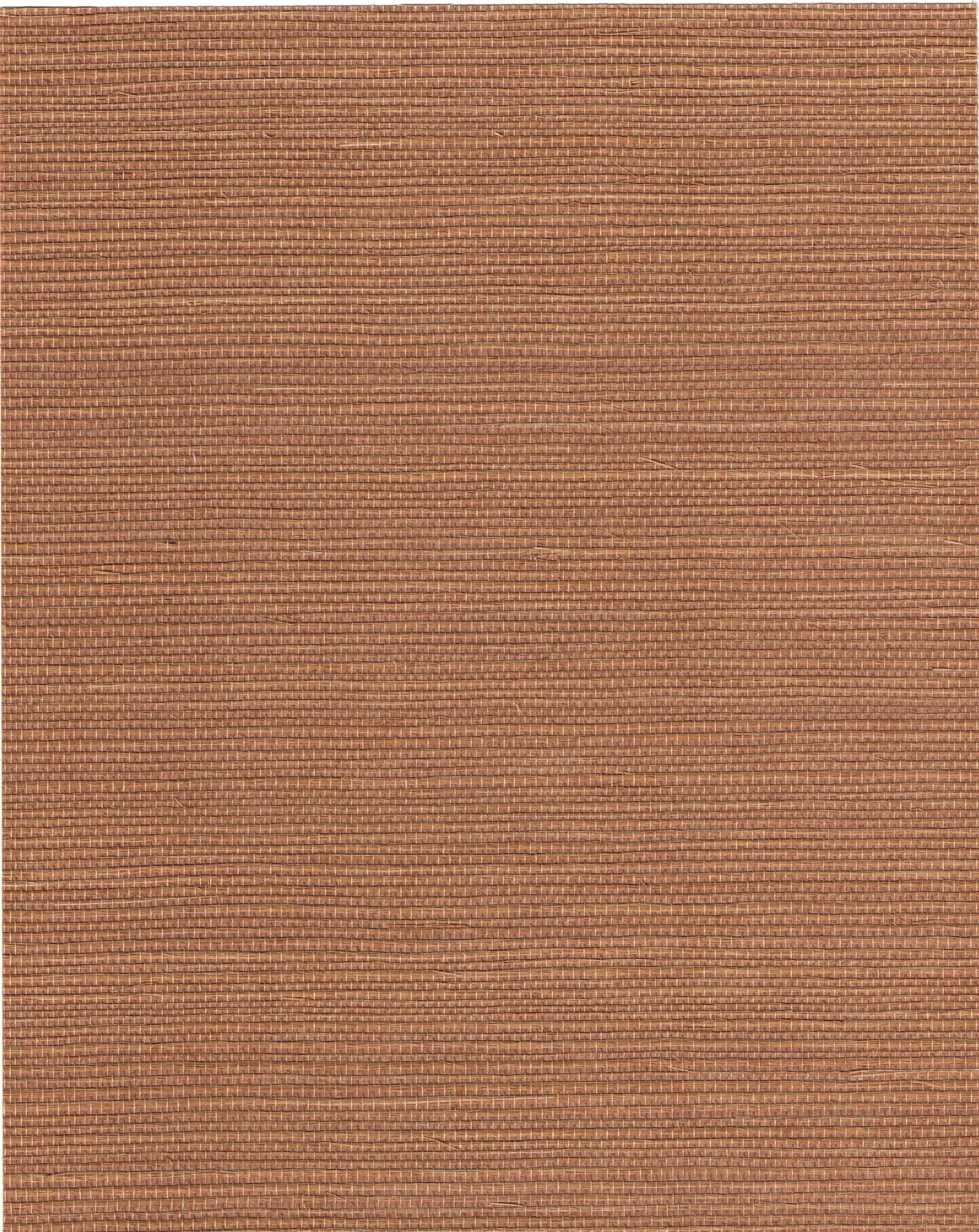 PDNJ6116