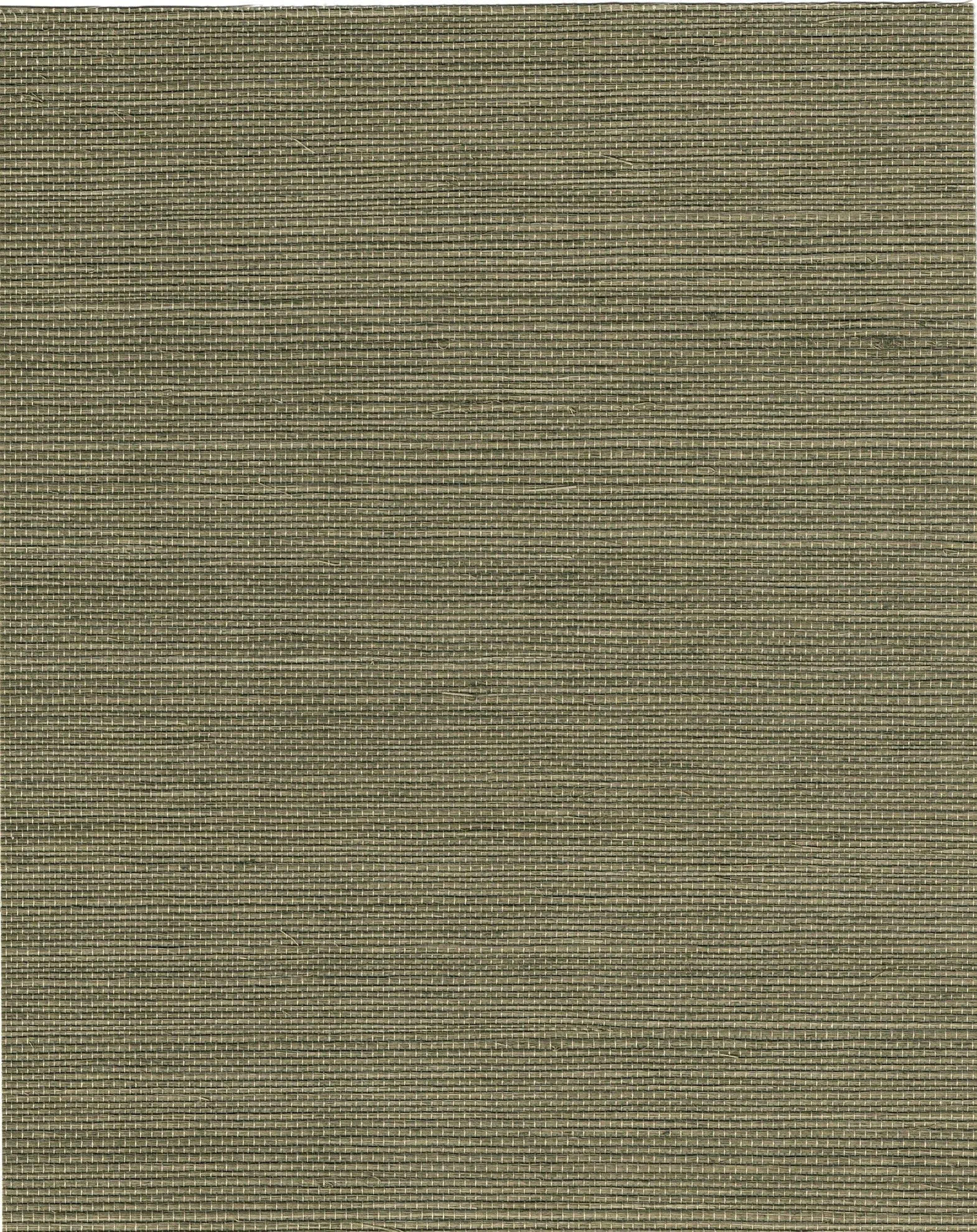 PDNJ6117