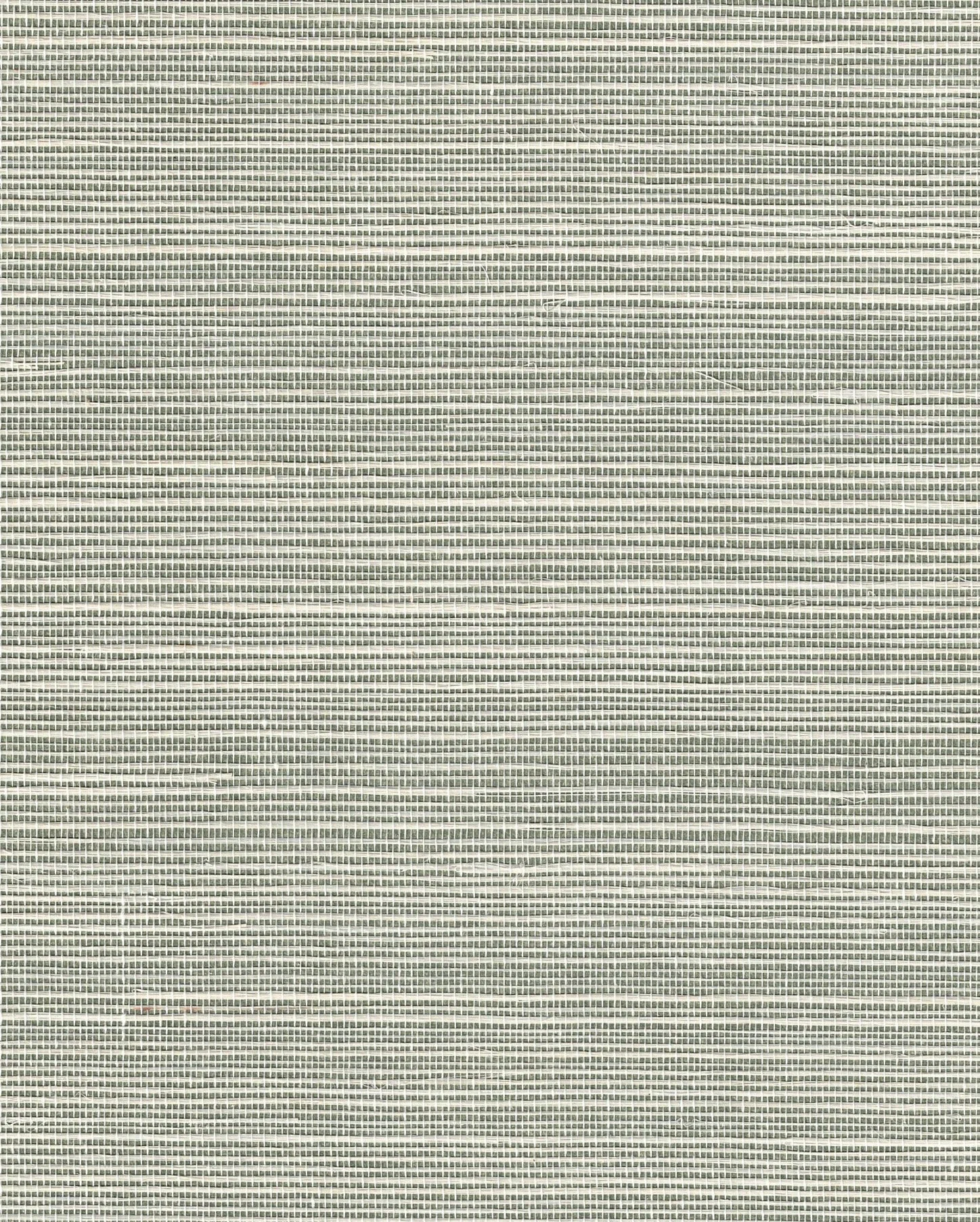 PDNJ6120