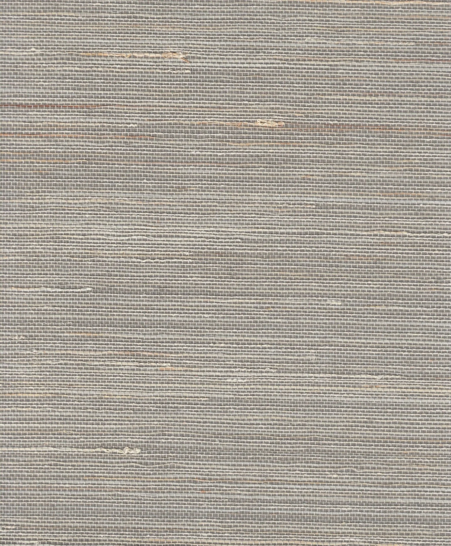 PDNJ6133