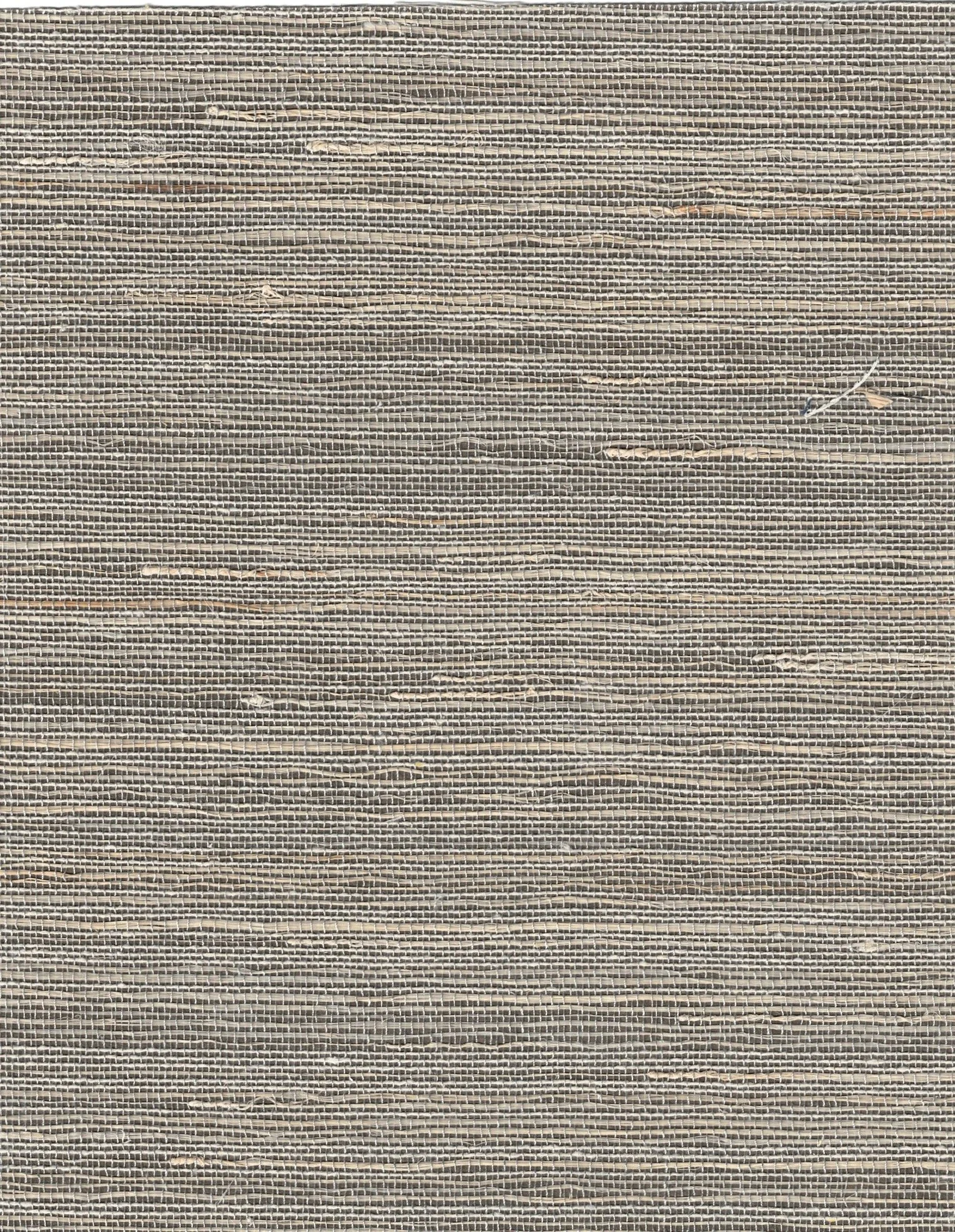 PDNJ6134