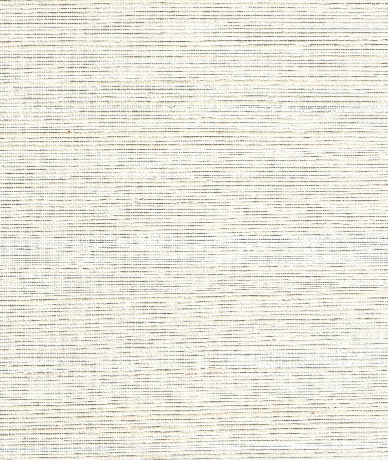 PDNJ6137