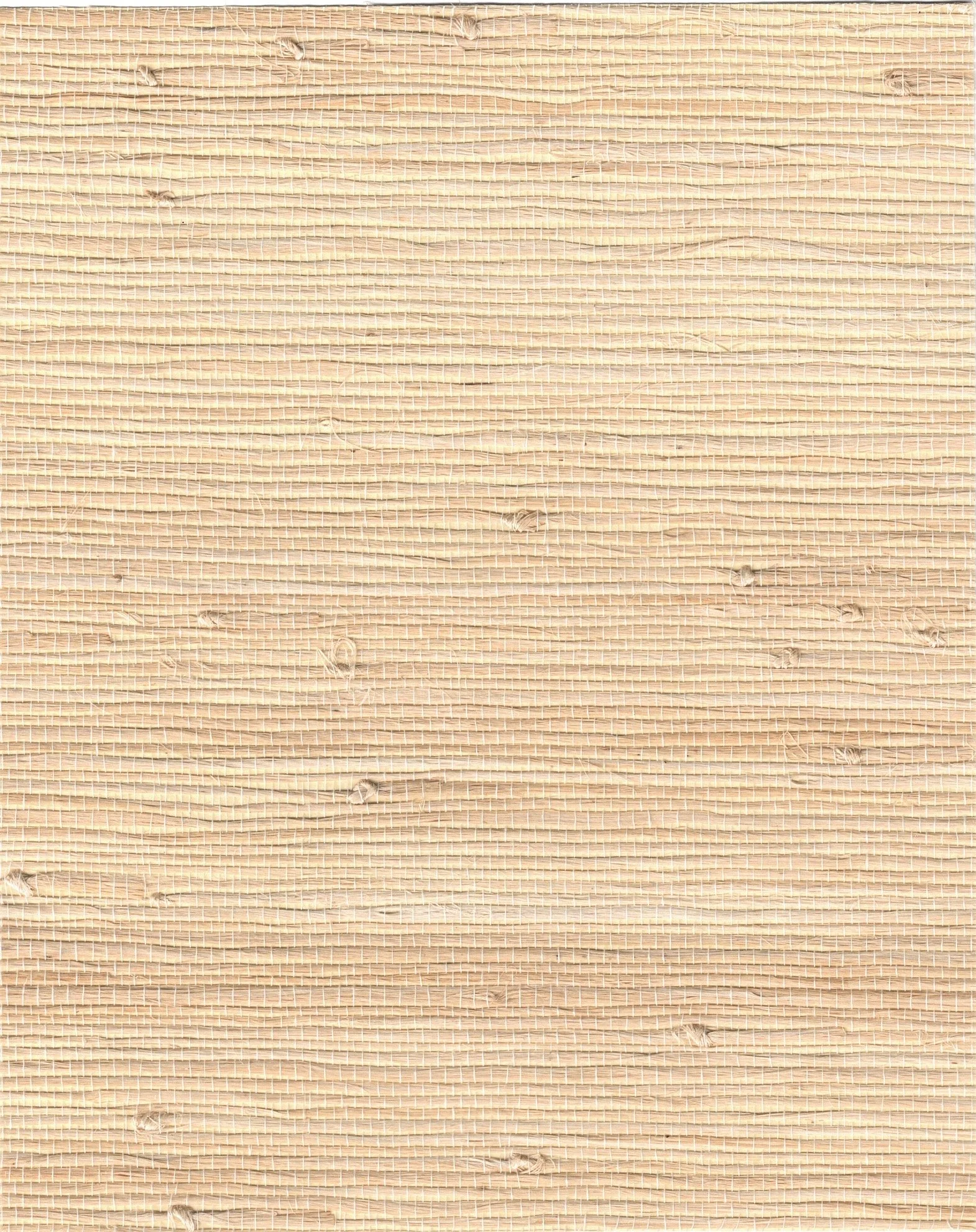 PDNJ6143