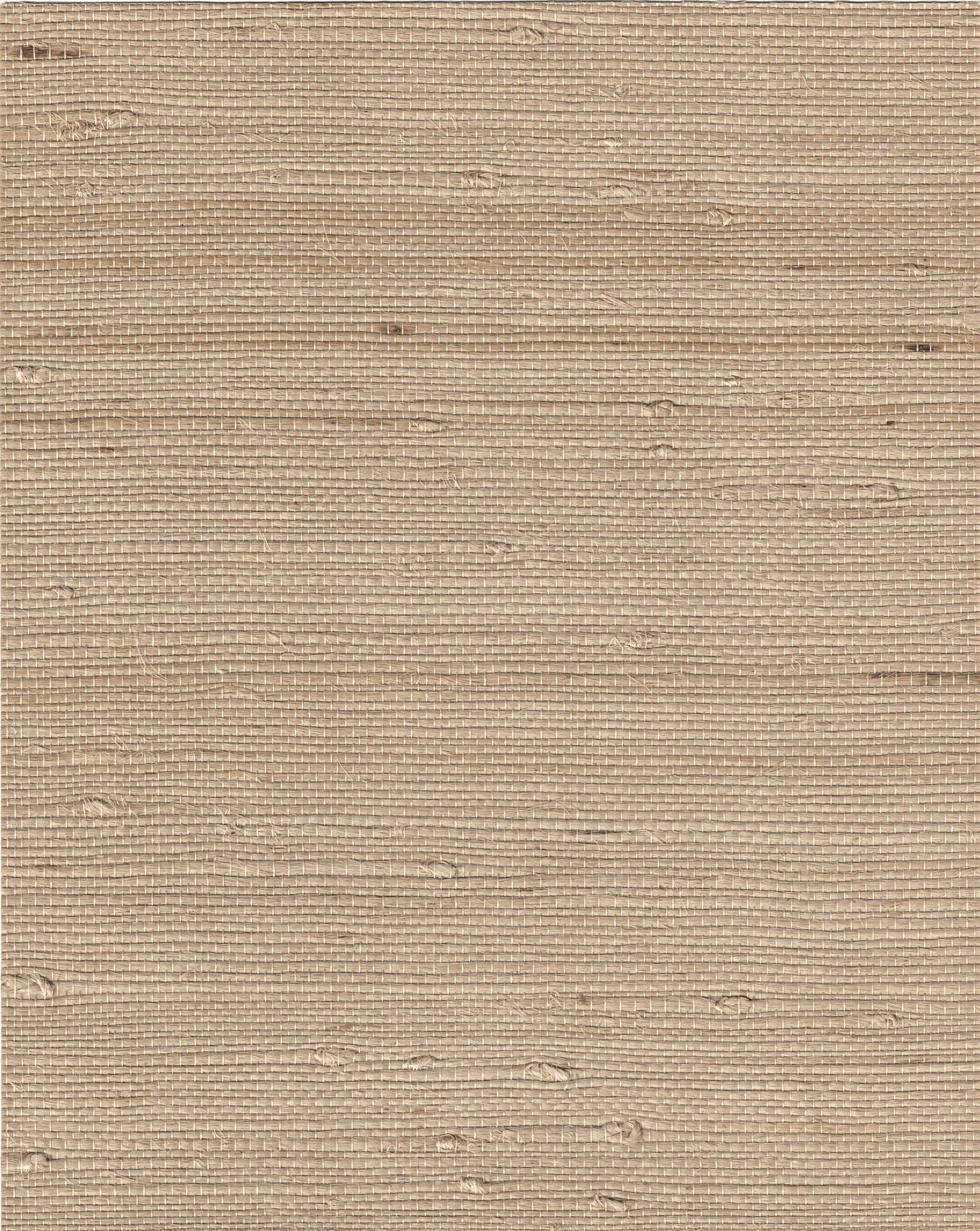 PDNJ6144