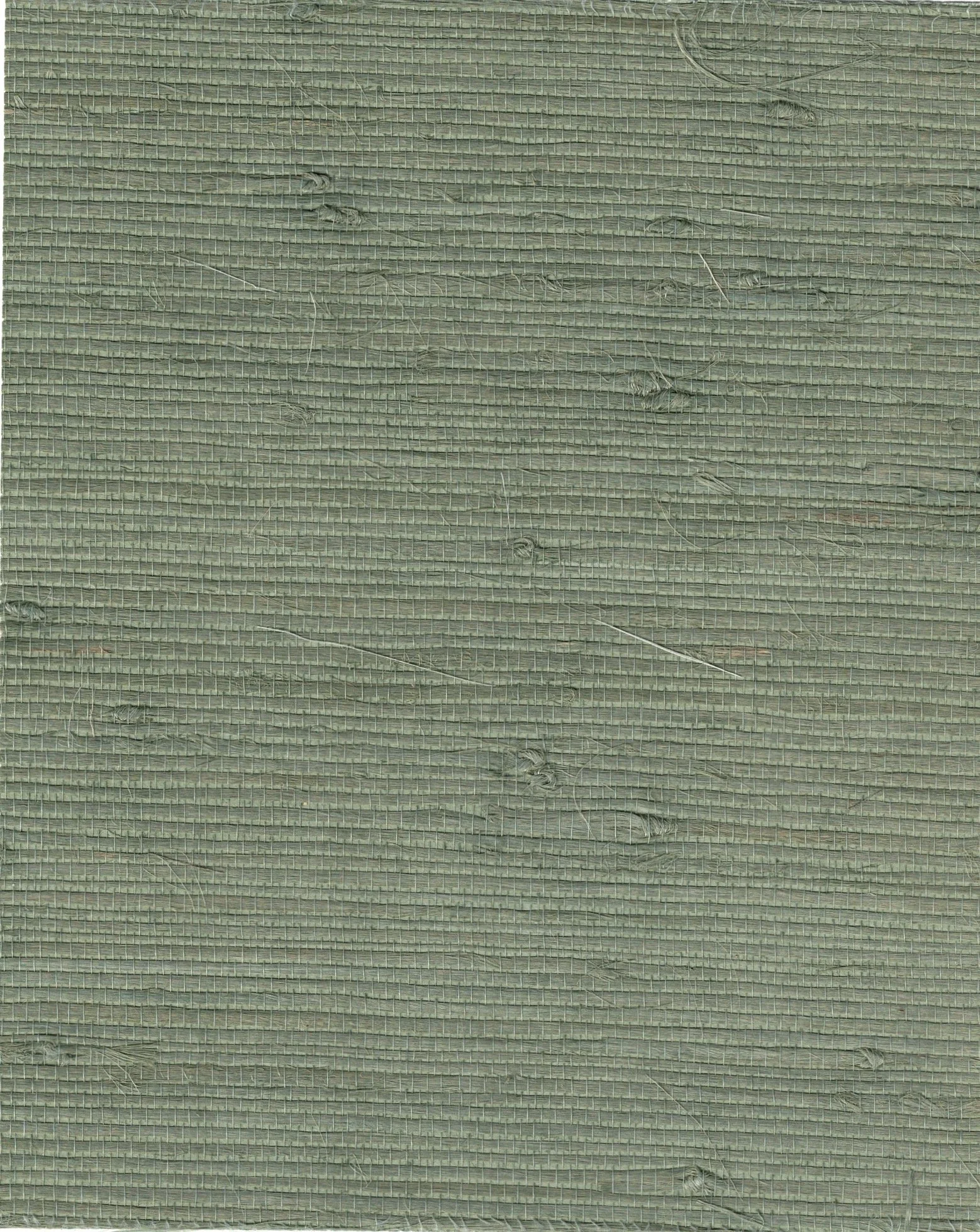 PDNJ6146