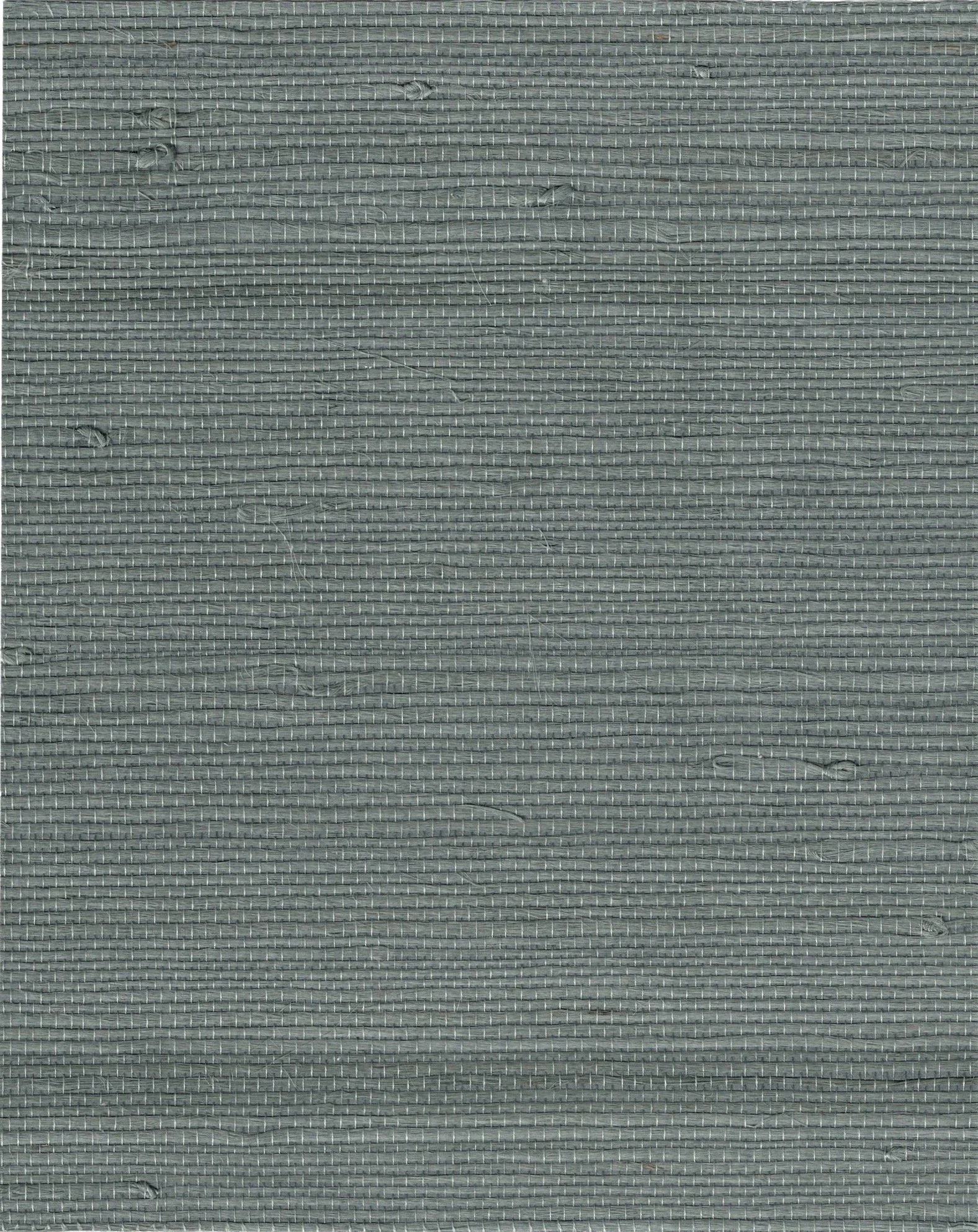 PDNJ6147