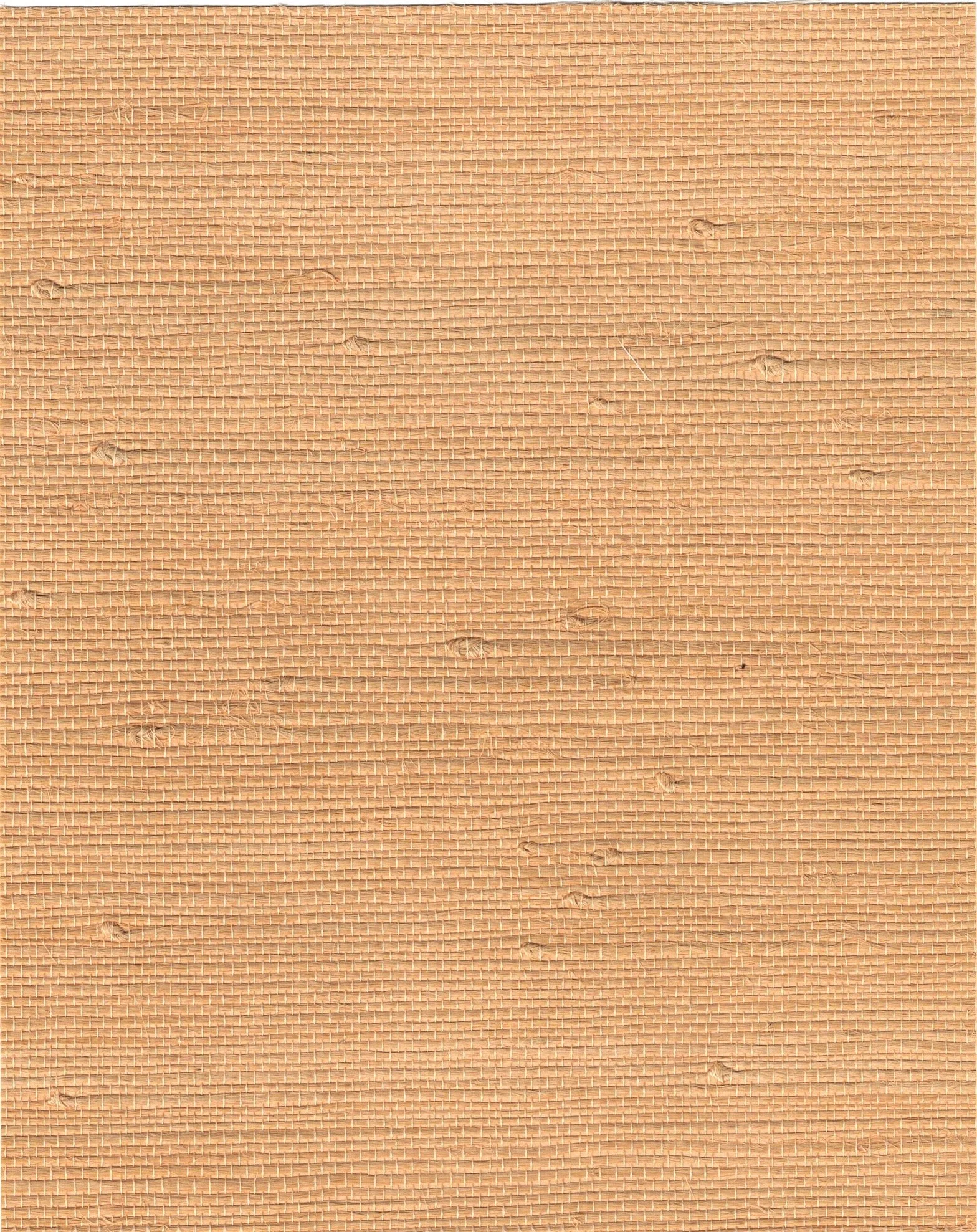 PDNJ6148