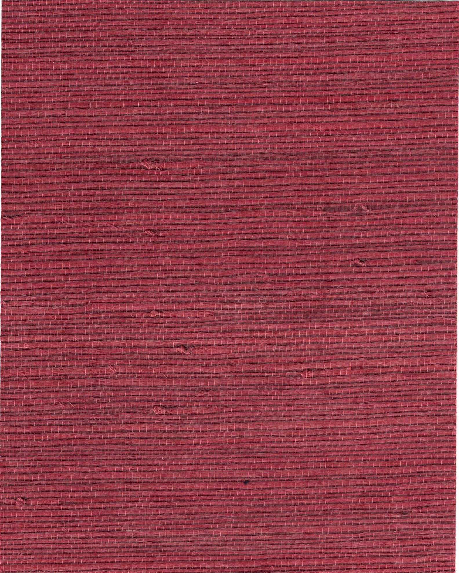 PDNJ6150