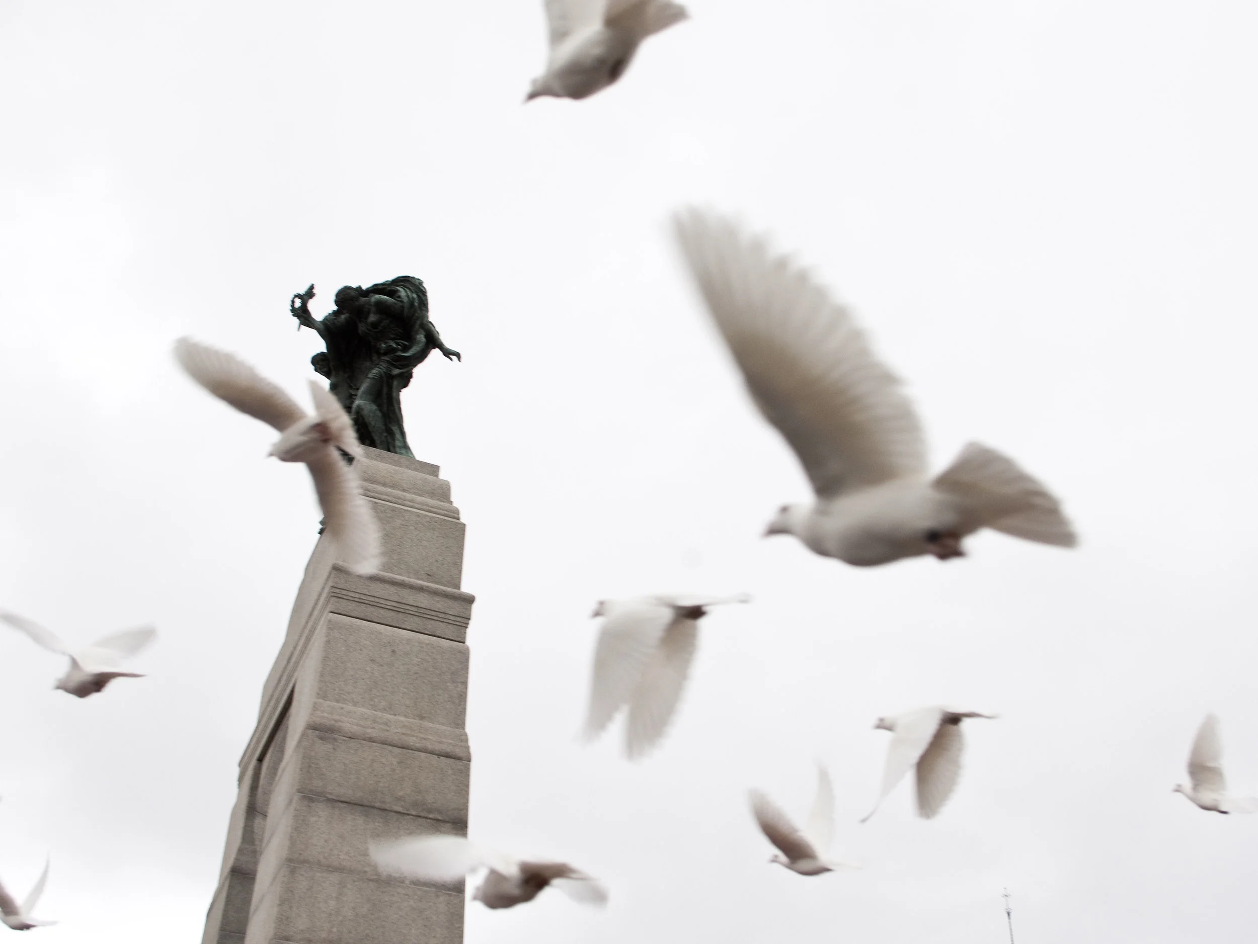 _J1_0998c.JPG