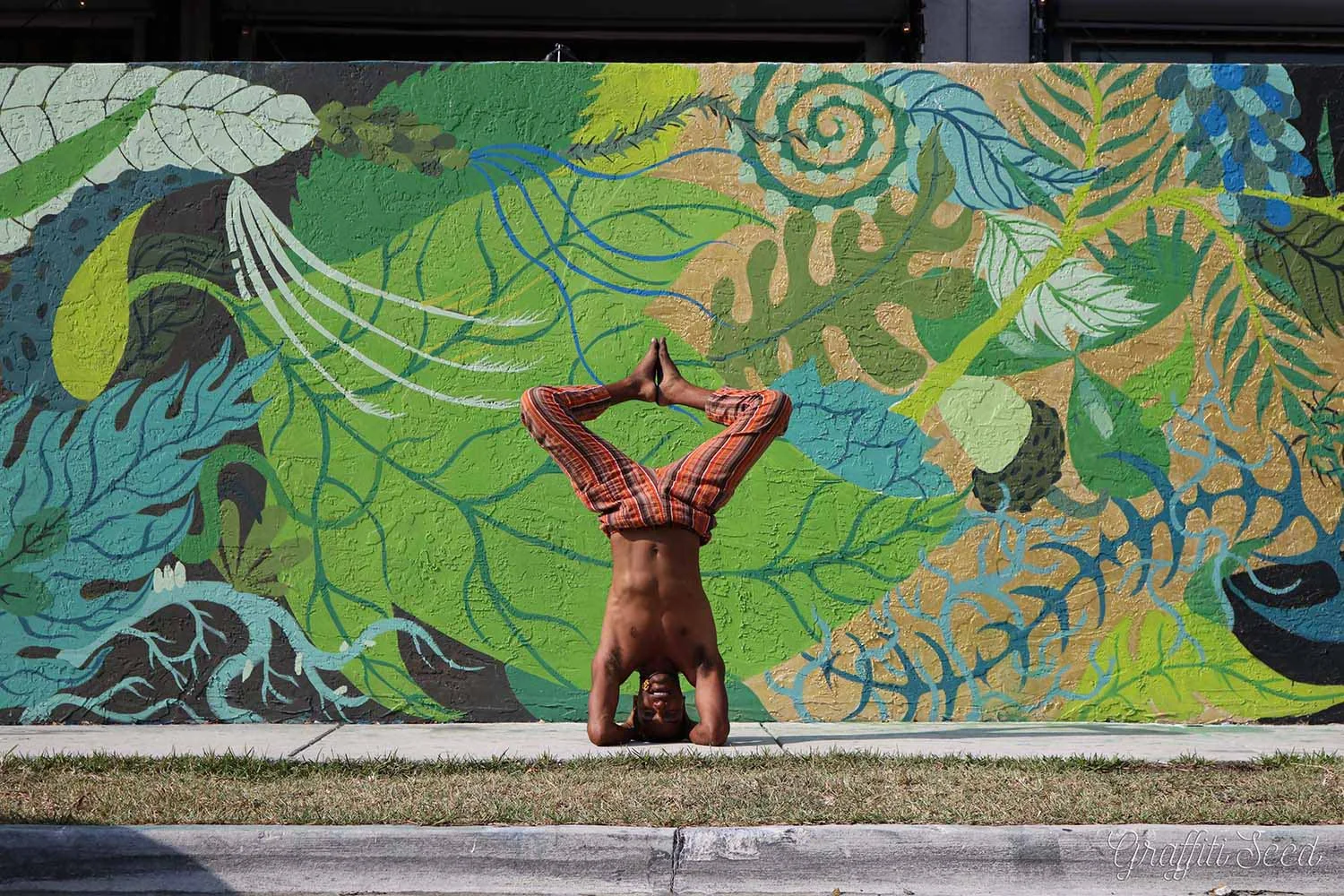 SKYLIGHT YOGA _ Graffitiseed.com   18.jpg