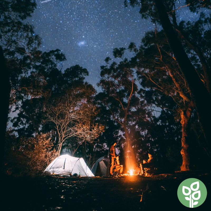 step-1-look-at-campfire.png