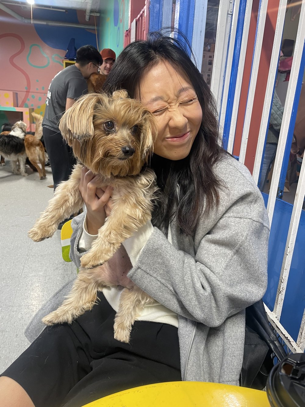 Hugged dogs for therapy