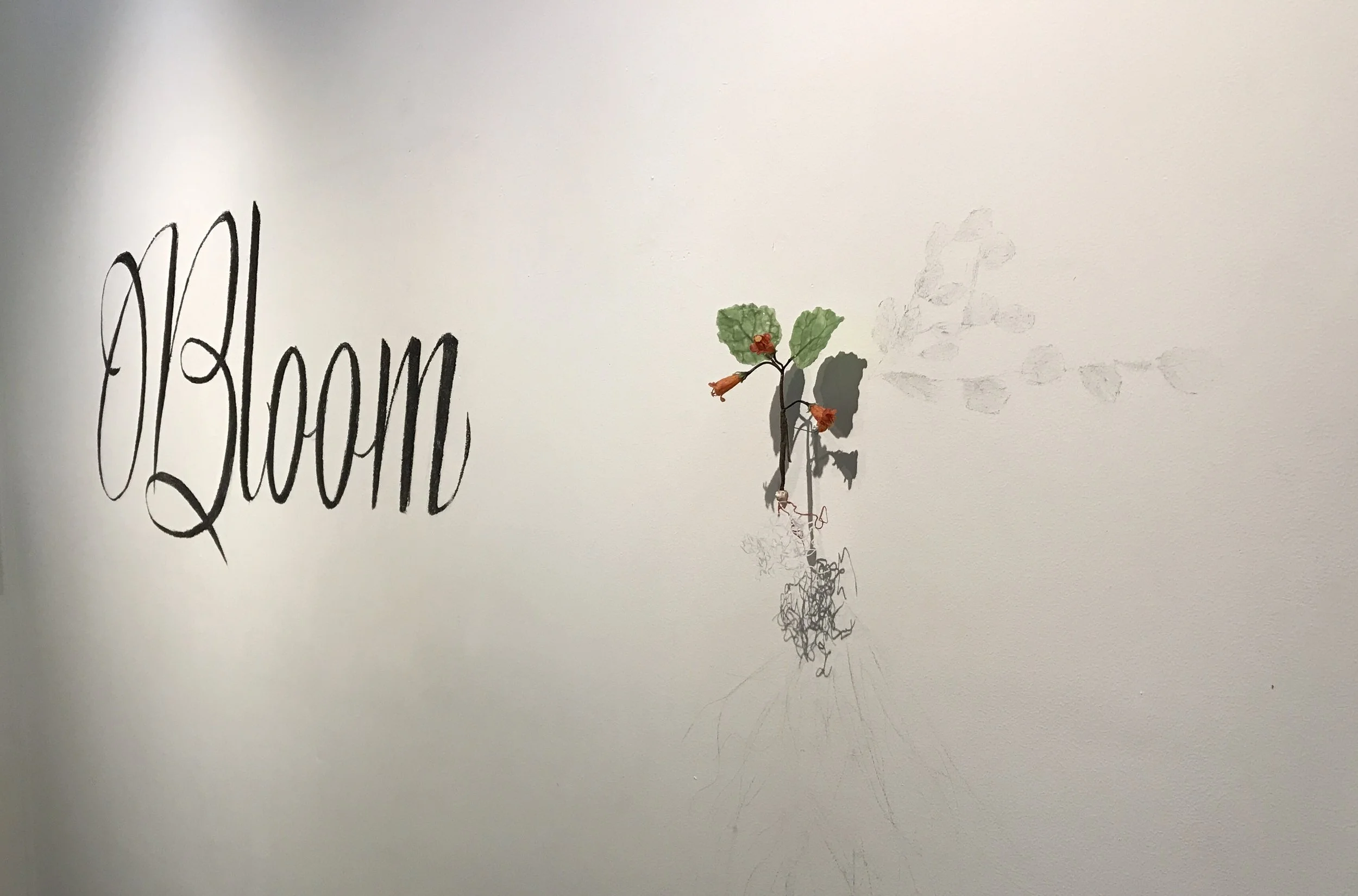 "Bloom" - The Exhibition