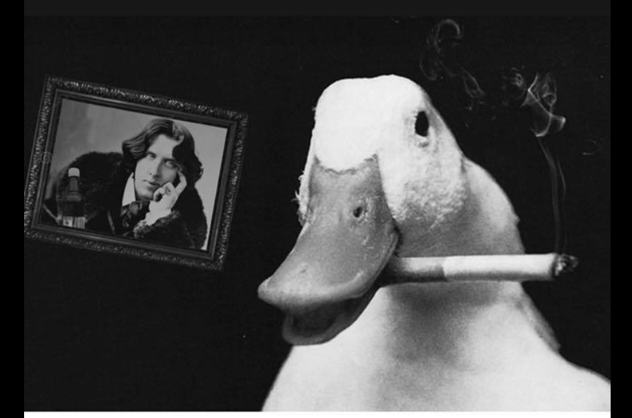 Screen Shot 2018-06-22 at 9.49.16 PM.png