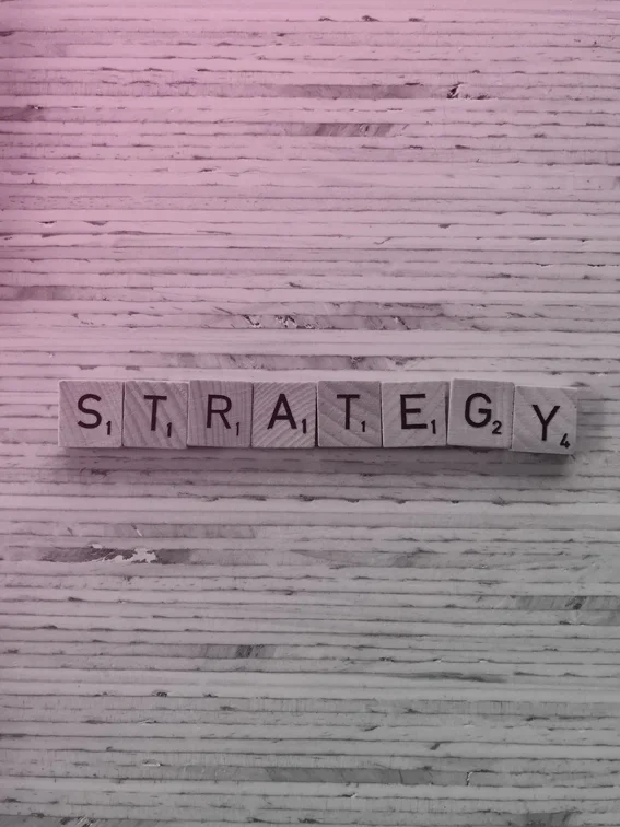 Strategy Services - Catapult NZ.jpg