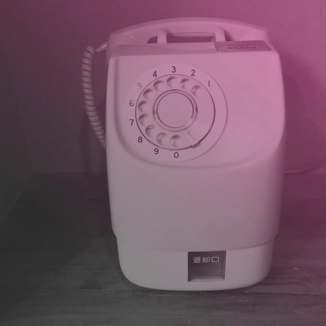 Contact Catapult NZ.jpg