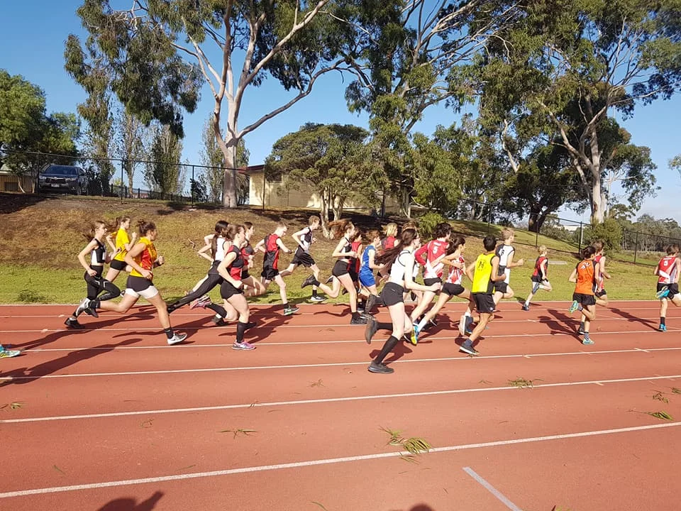Cross country.jpg