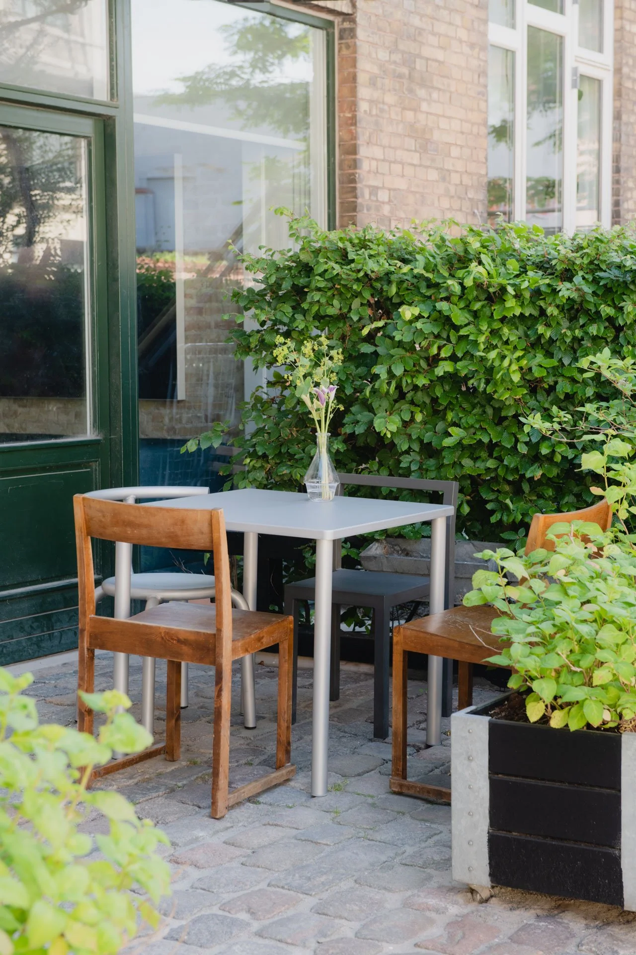 Refugio_Shot by Armin Tehrani_LR-011.jpeg