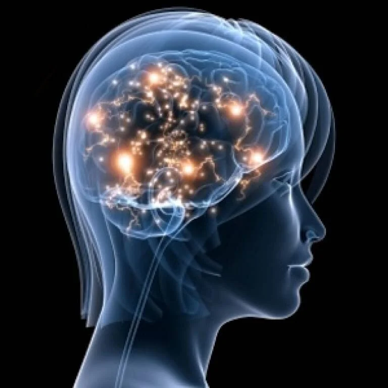 Looking after your team