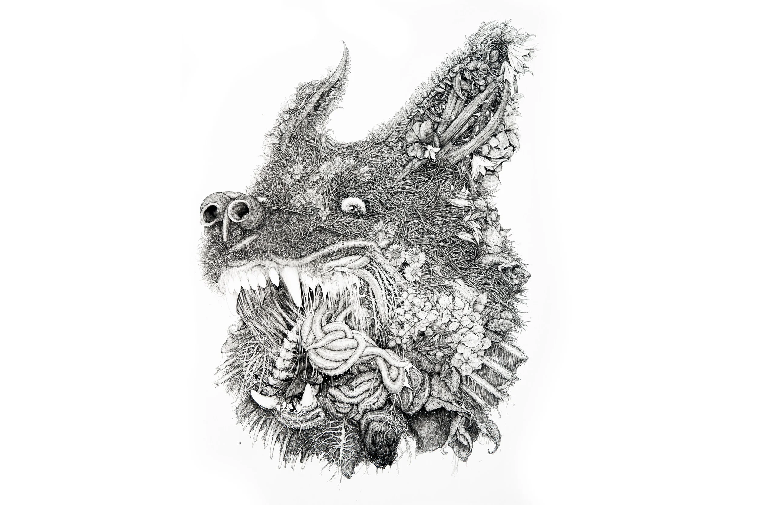 Wolf.jpg