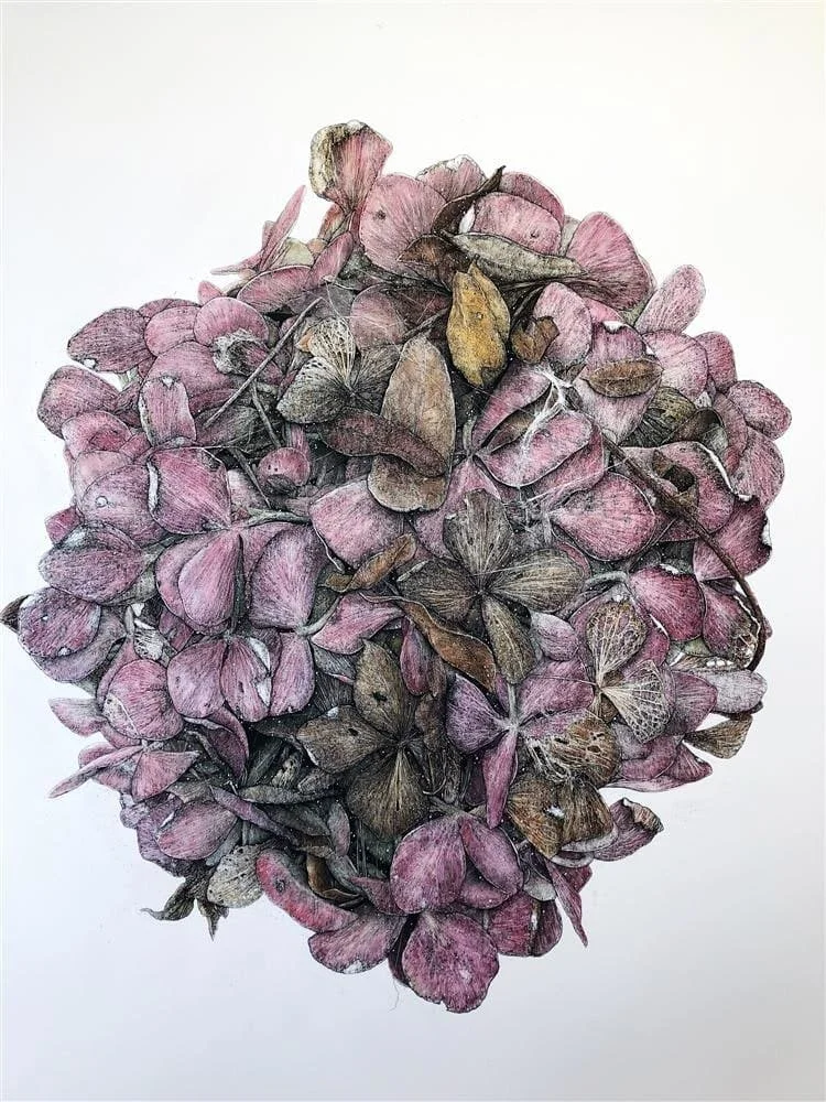 Untitled (cobweb 2019).jpg