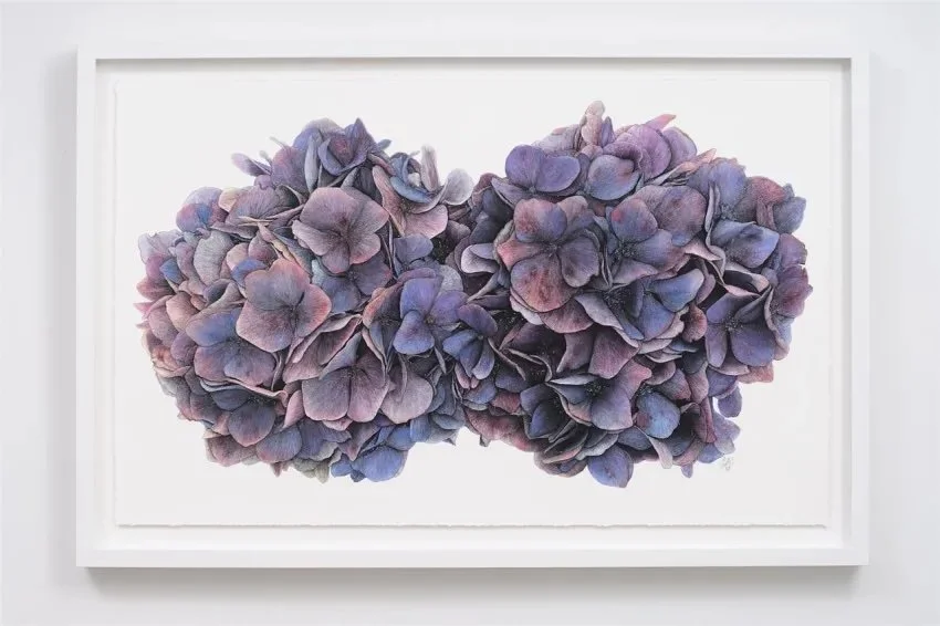 unfurling large.jpeg