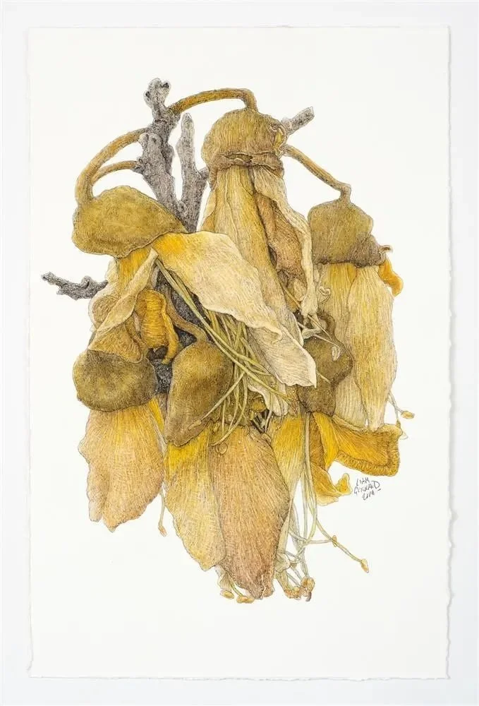sandersoncontemporary-liam-gerrard-tawari-st-mt-eden-ii-2024.jpeg