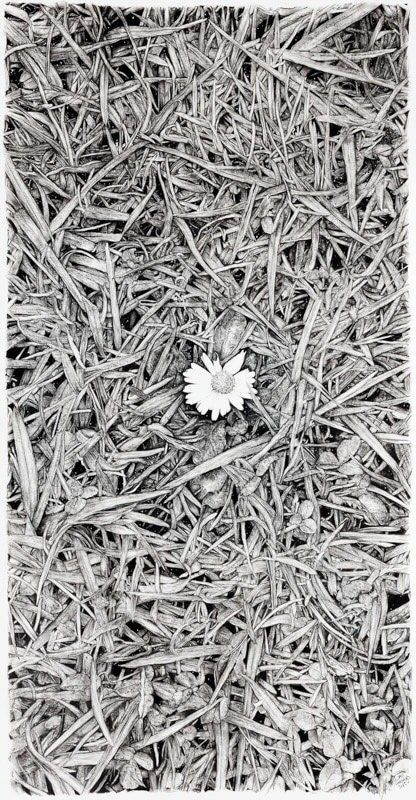 sandersoncontemporary-liam-gerrard-one-flower-2015.jpeg